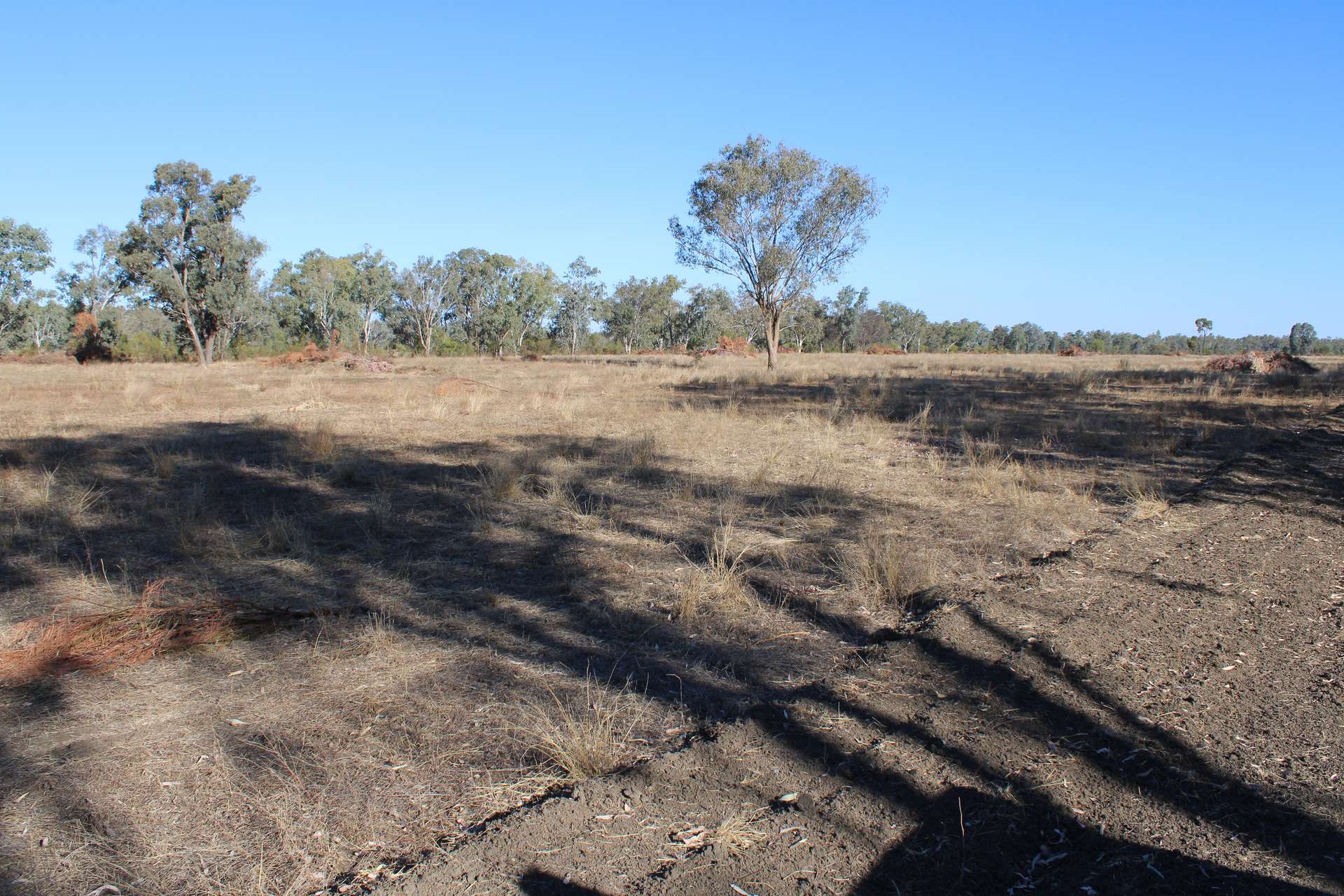 9 ,10, 11 & 217 ROMA TAROOM ROAD, Taroom For Sale by Farmbuy.com - image 26
