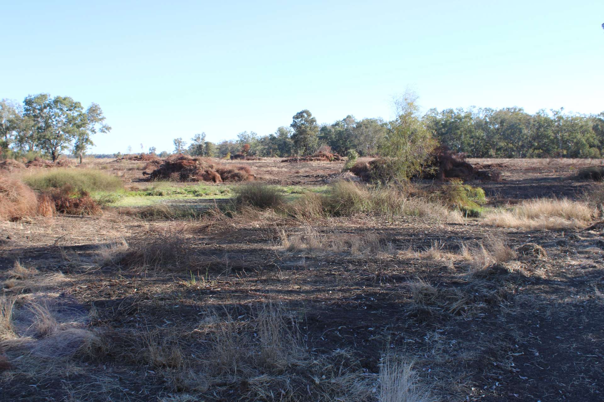 9 ,10, 11 & 217 ROMA TAROOM ROAD, Taroom For Sale by Farmbuy.com - image 31