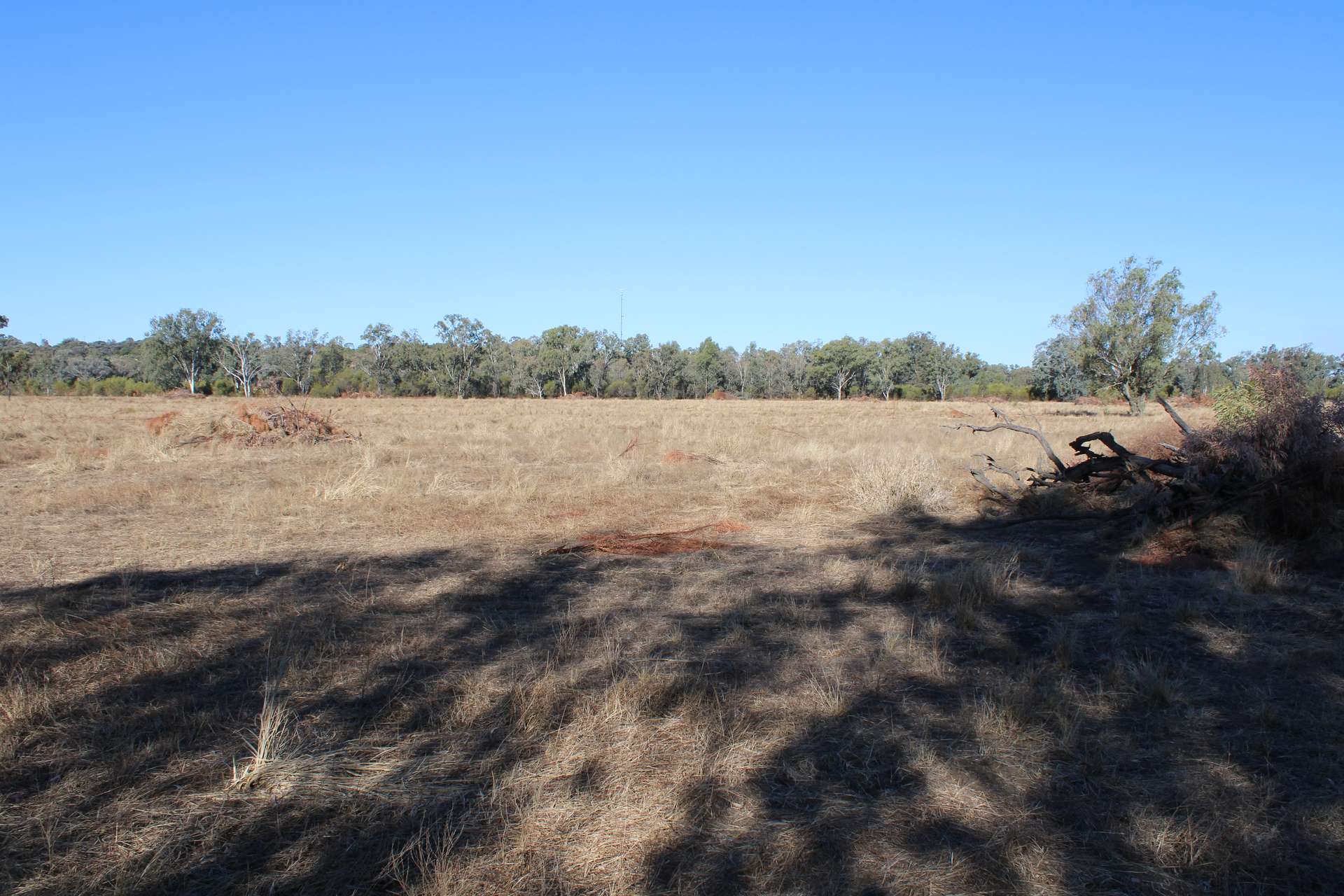 9 ,10, 11 & 217 ROMA TAROOM ROAD, Taroom For Sale by Farmbuy.com - image 14