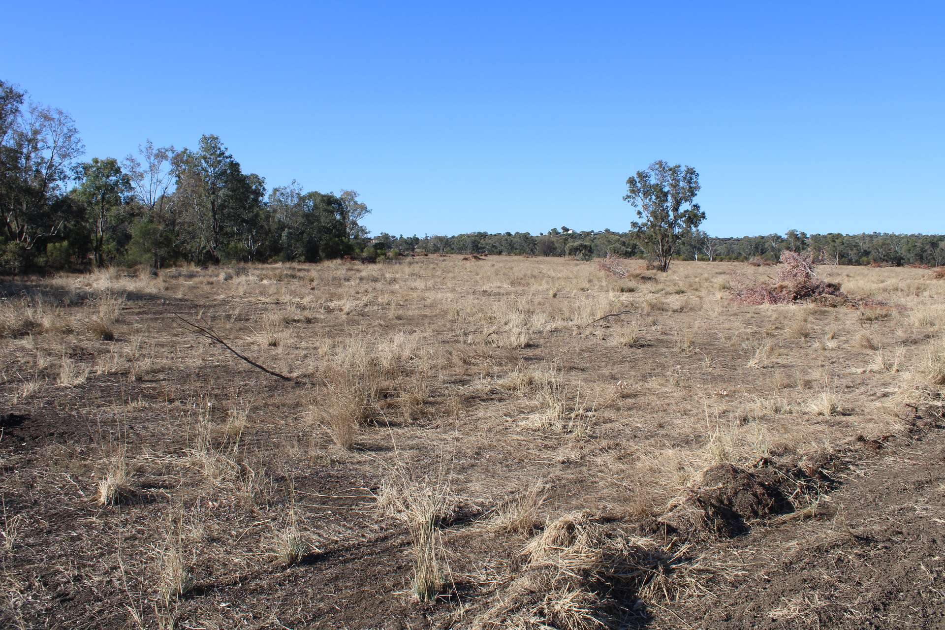 9 ,10, 11 & 217 ROMA TAROOM ROAD, Taroom For Sale by Farmbuy.com - image 13