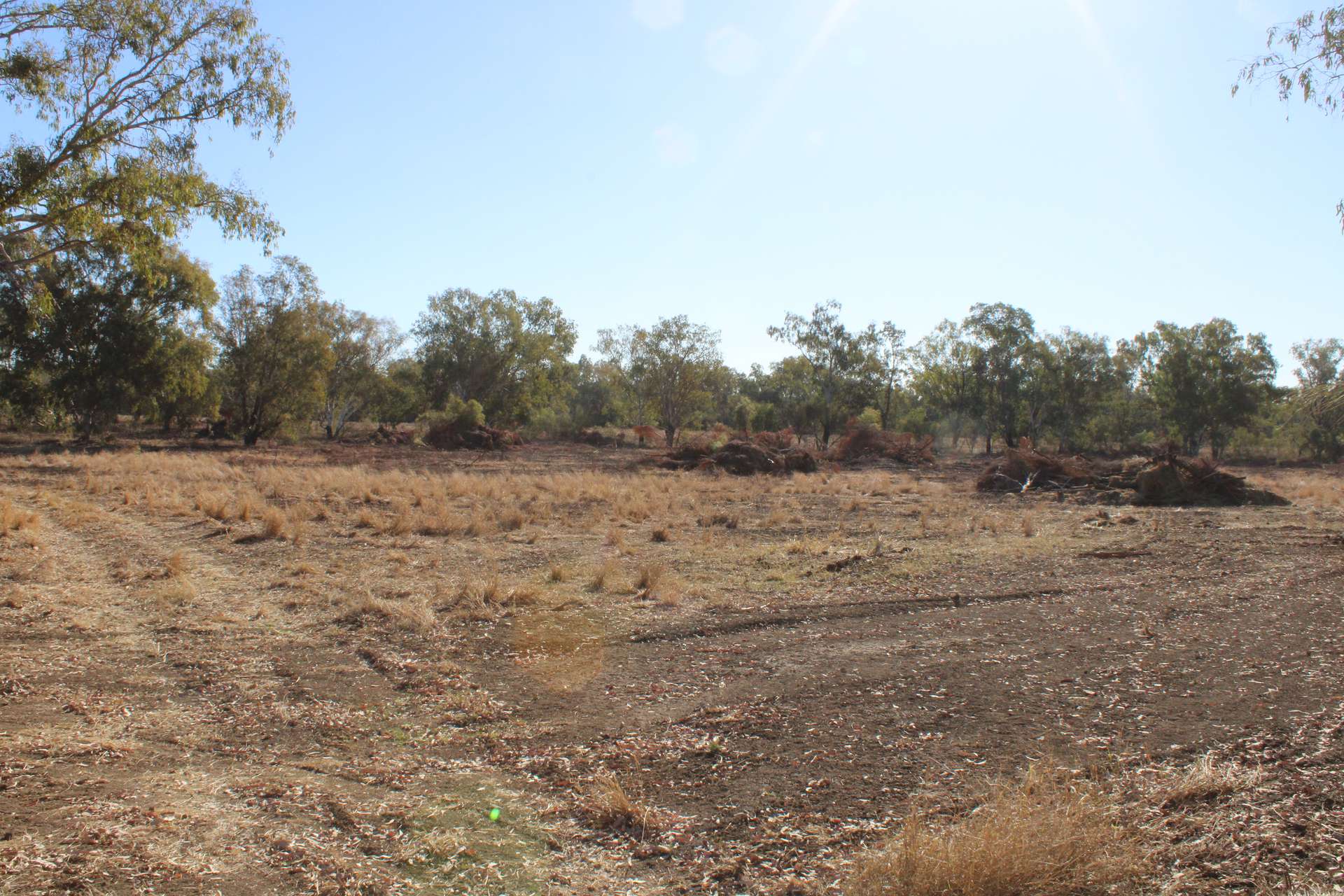 9 ,10, 11 & 217 ROMA TAROOM ROAD, Taroom For Sale by Farmbuy.com - image 5