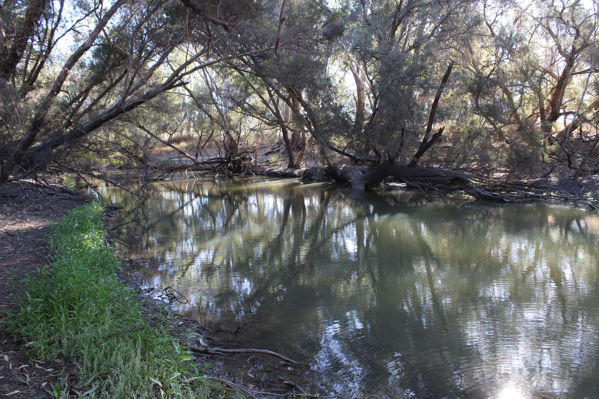 9 ,10, 11 & 217 ROMA TAROOM ROAD, Taroom For Sale by Farmbuy.com - image 3