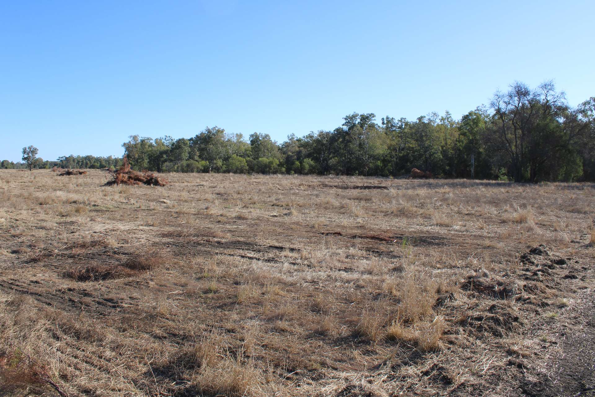 9 ,10, 11 & 217 ROMA TAROOM ROAD, Taroom For Sale by Farmbuy.com - image 21