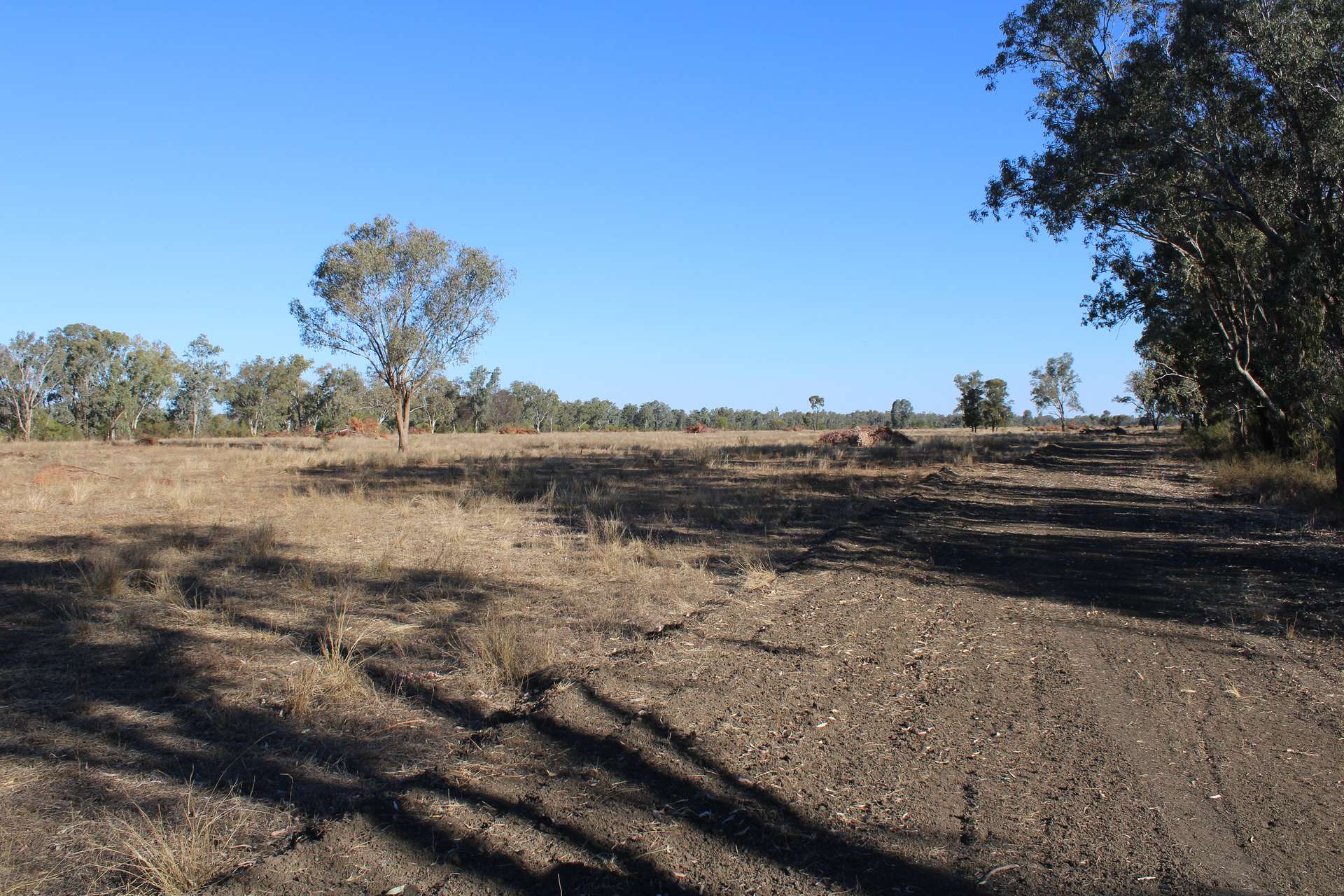 9 ,10, 11 & 217 ROMA TAROOM ROAD, Taroom For Sale by Farmbuy.com - image 23