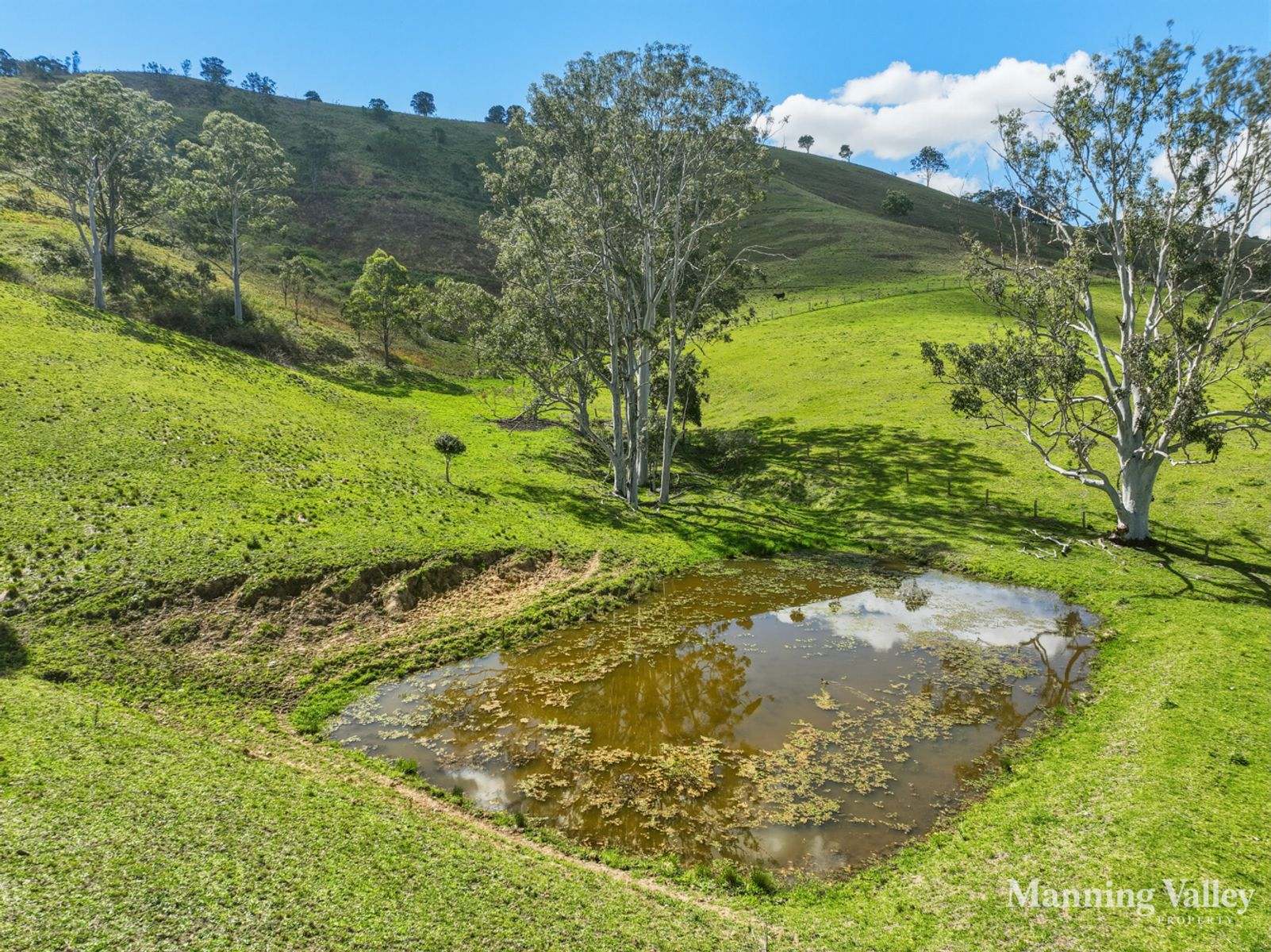 312 Bulby Brush Road, Bunyah For Sale by Farmbuy.com - image 34