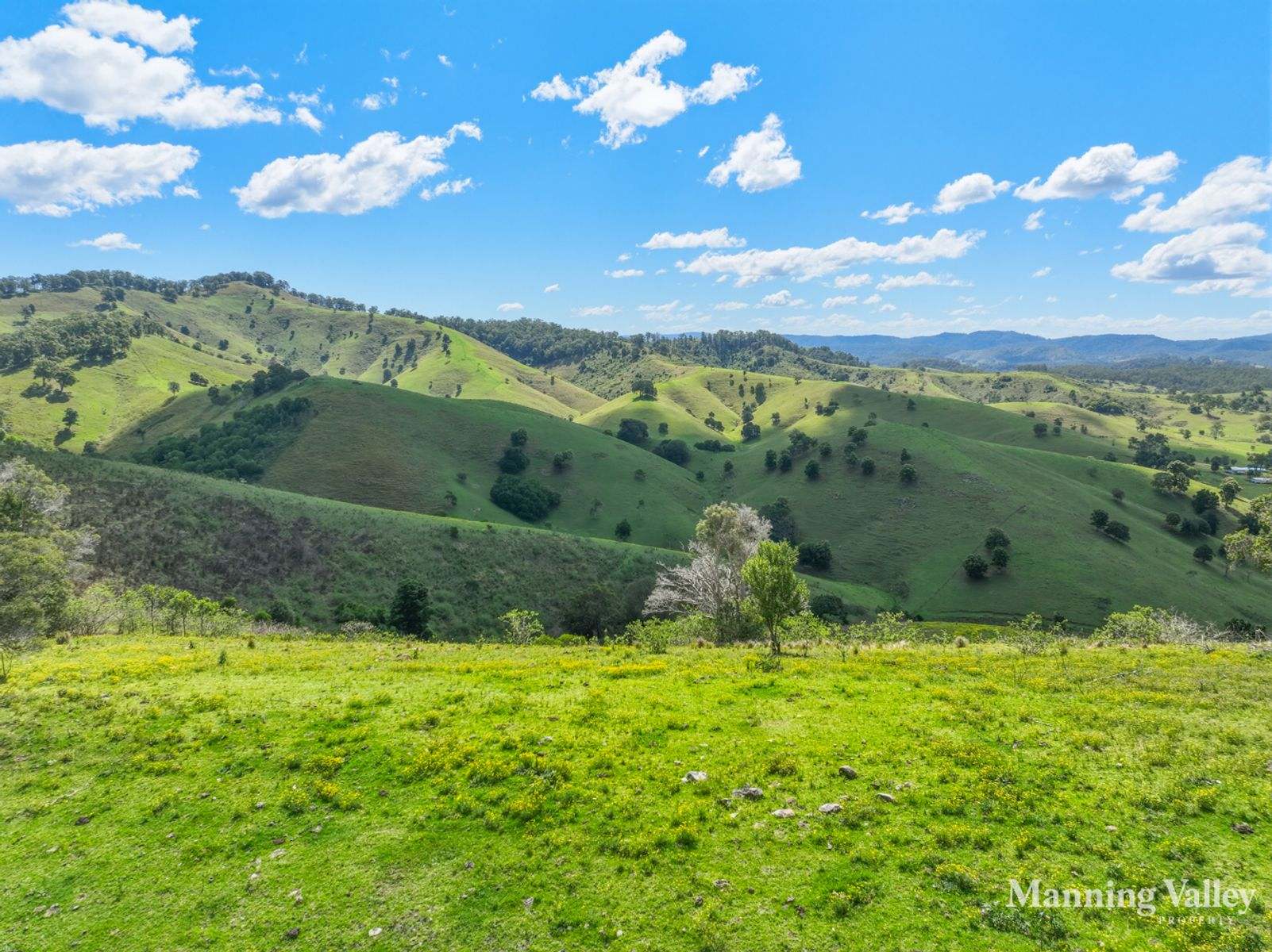 312 Bulby Brush Road, Bunyah For Sale by Farmbuy.com - image 35