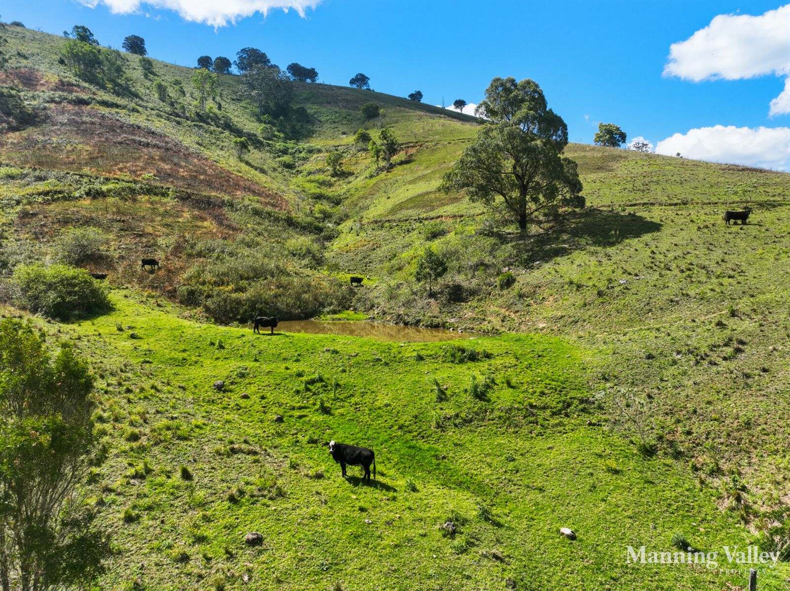 312 Bulby Brush Road, Bunyah For Sale by Farmbuy.com - image 33