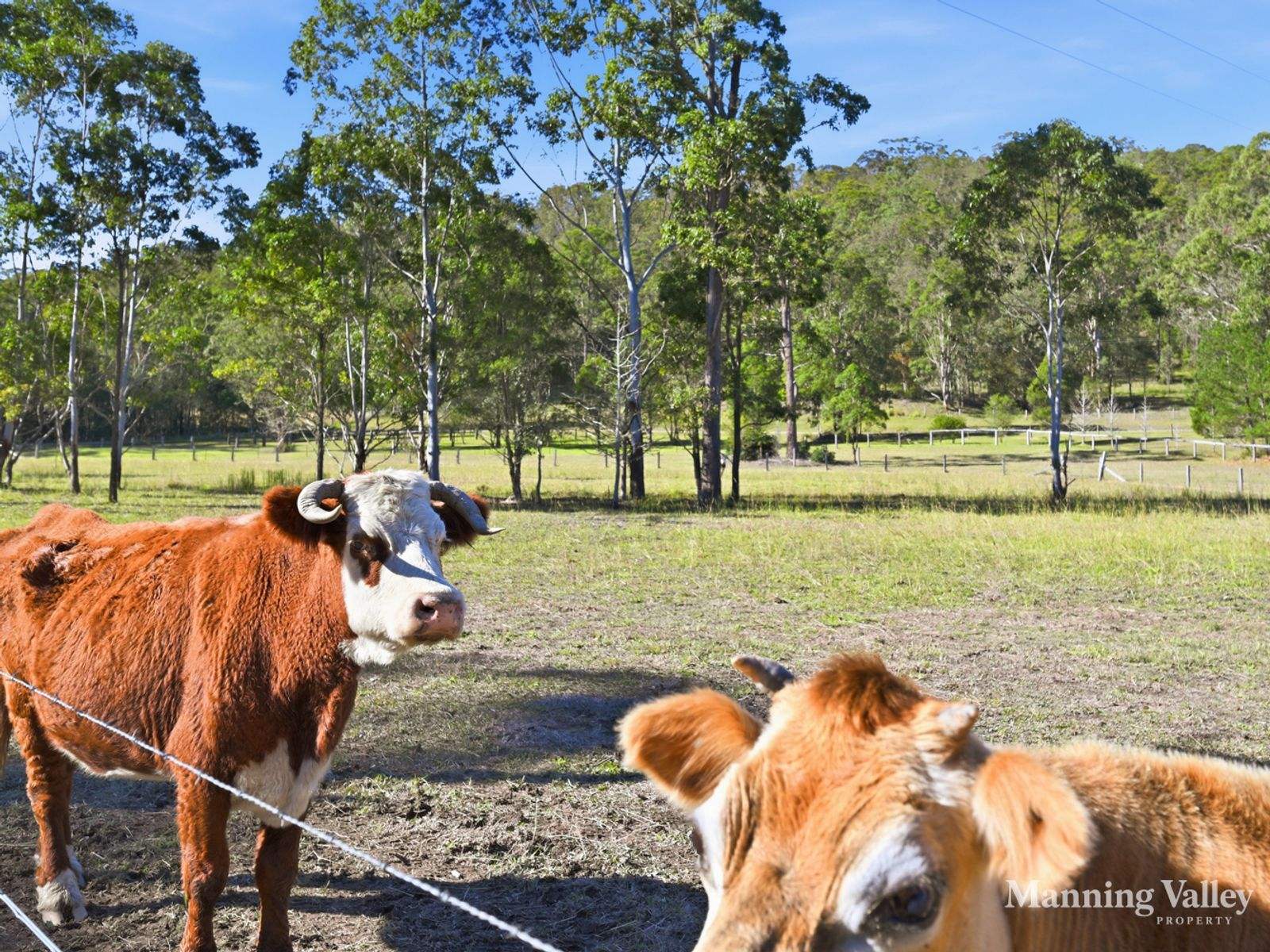 385 Locketts Crossing Road, Coolongolook For Sale by Farmbuy.com - image 32