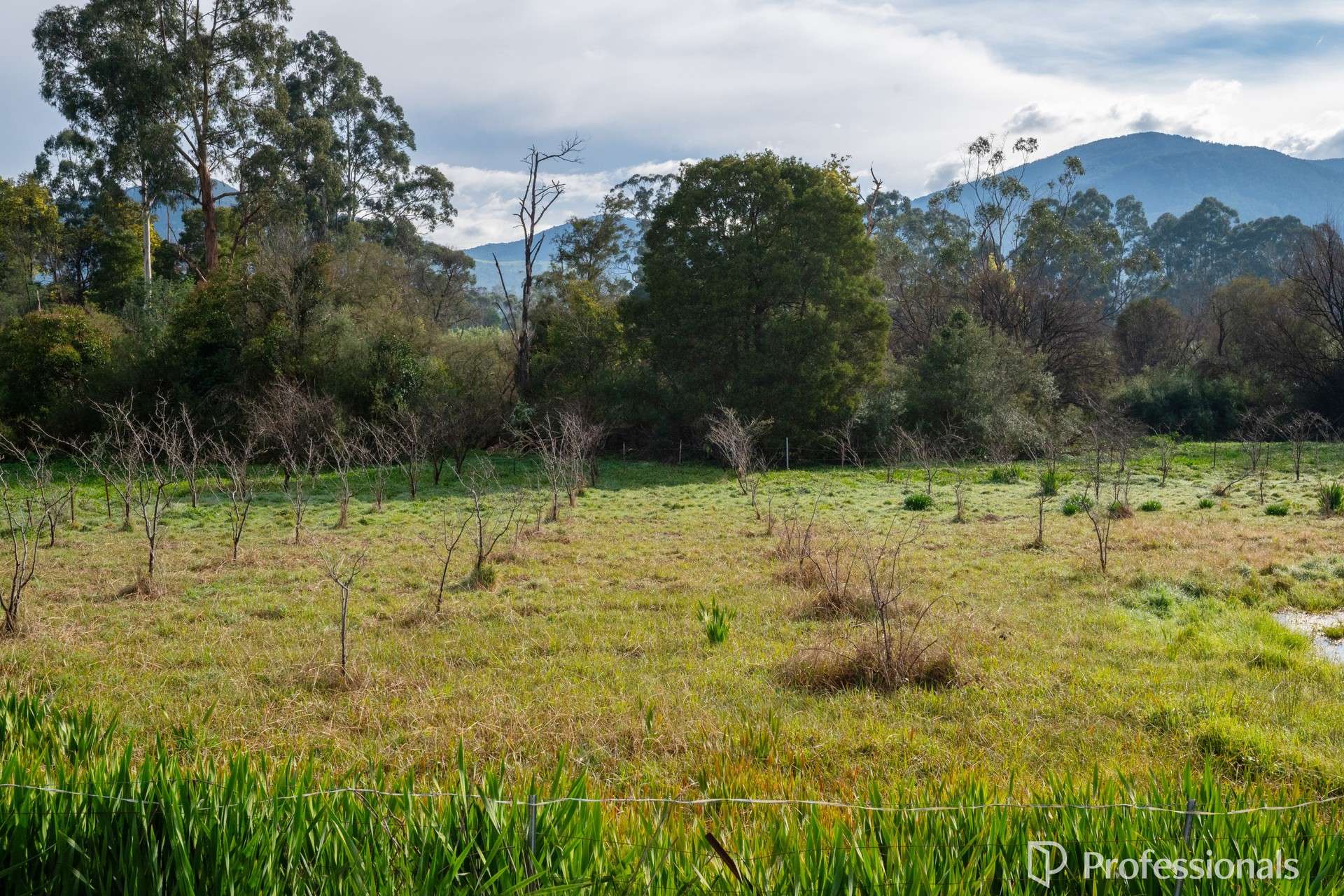 2185 Warburton Highway, Launching Place For Sale by Farmbuy.com - image 8