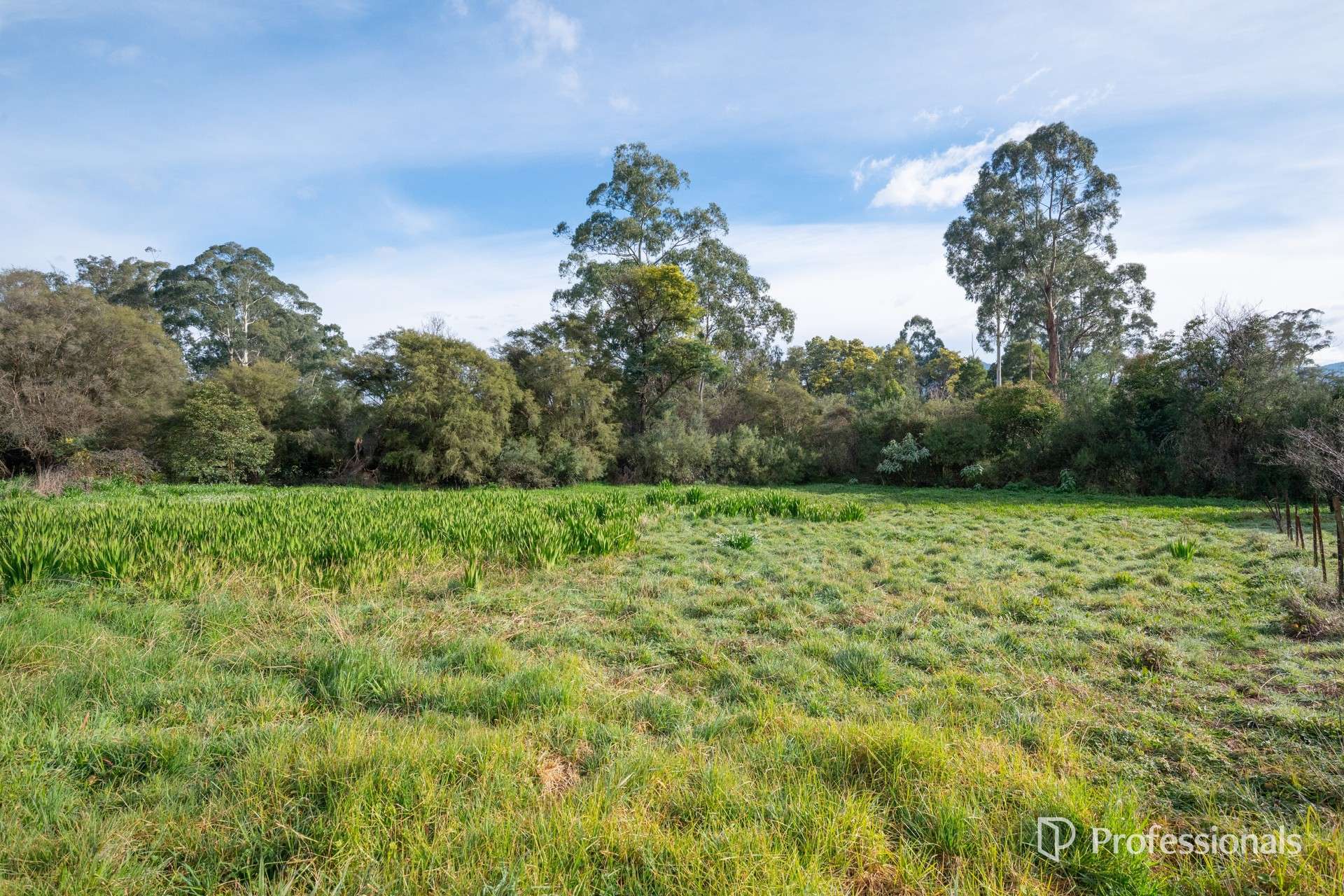 2185 Warburton Highway, Launching Place For Sale by Farmbuy.com - image 17
