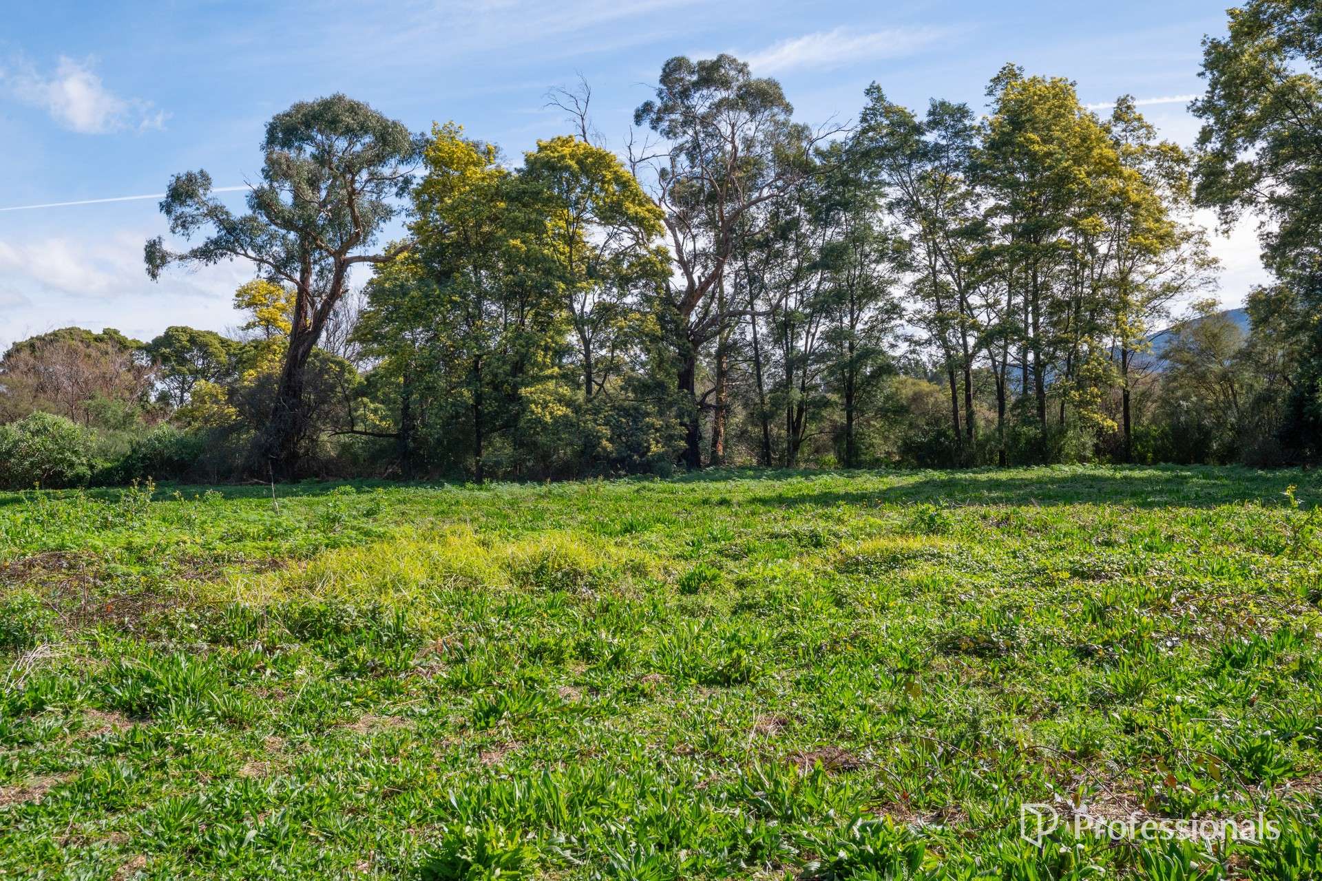 2185 Warburton Highway, Launching Place For Sale by Farmbuy.com - image 6