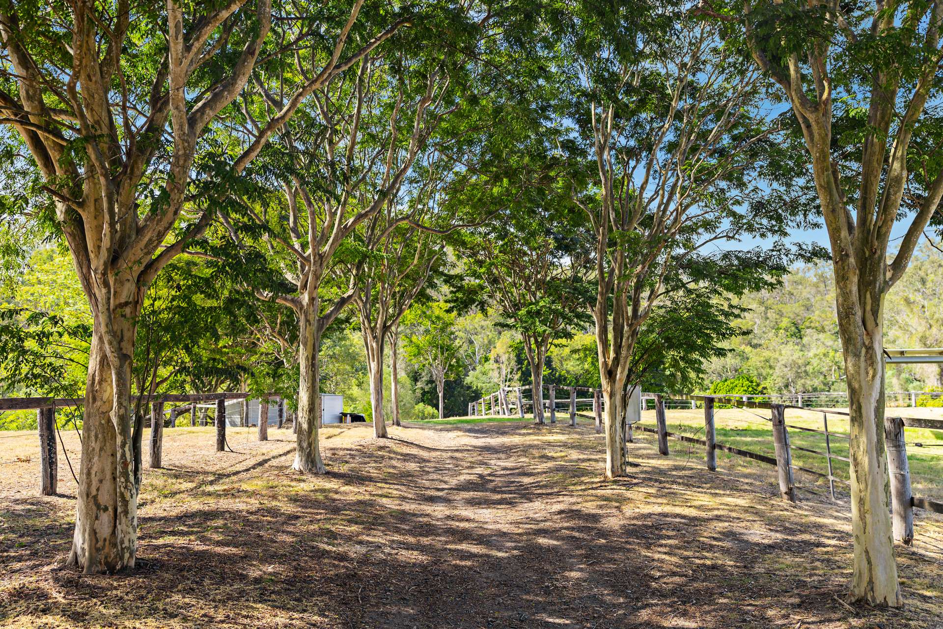 100 Waverley Road, Lake Manchester Auction by Farmbuy.com - image 24