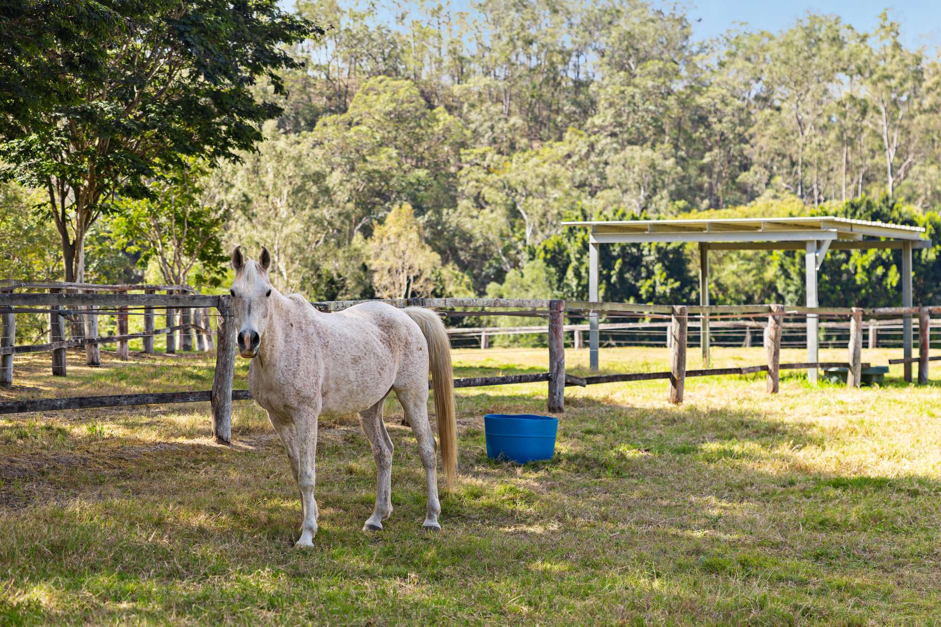 100 Waverley Road, Lake Manchester Auction by Farmbuy.com - image 2