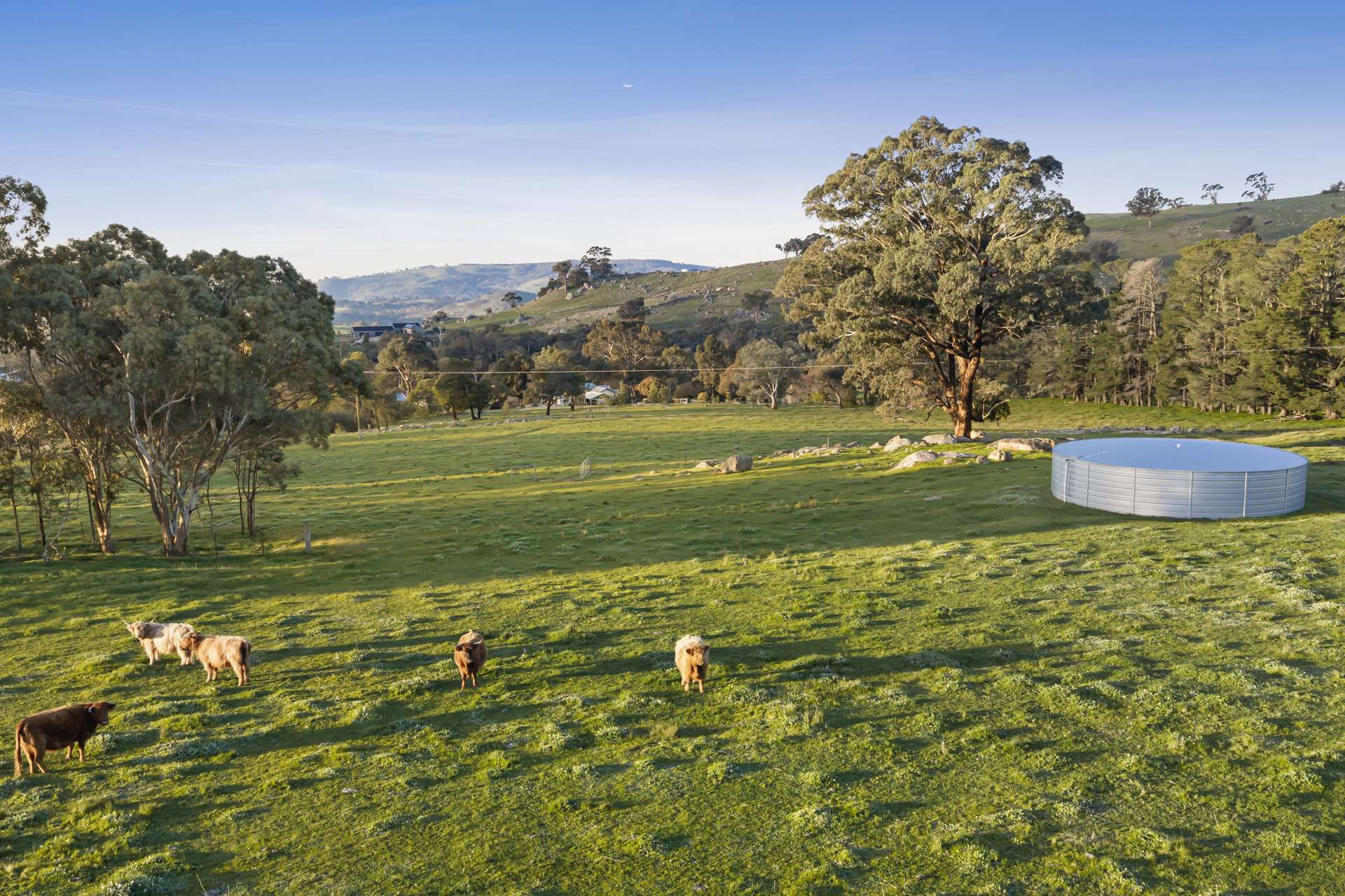 34 Kelvin View School Road, Kelvin View For Sale by Farmbuy.com - image 29