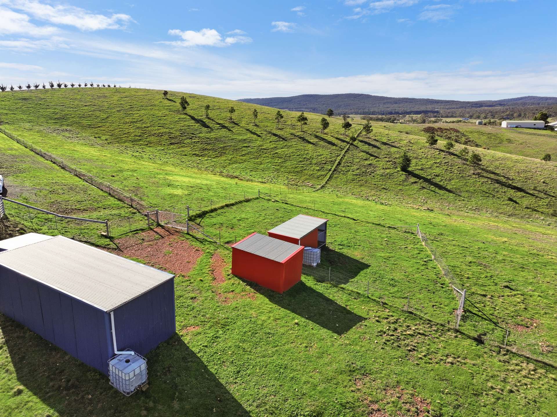 149 Lakeview Road, Tarago For Sale by Farmbuy.com - image 27