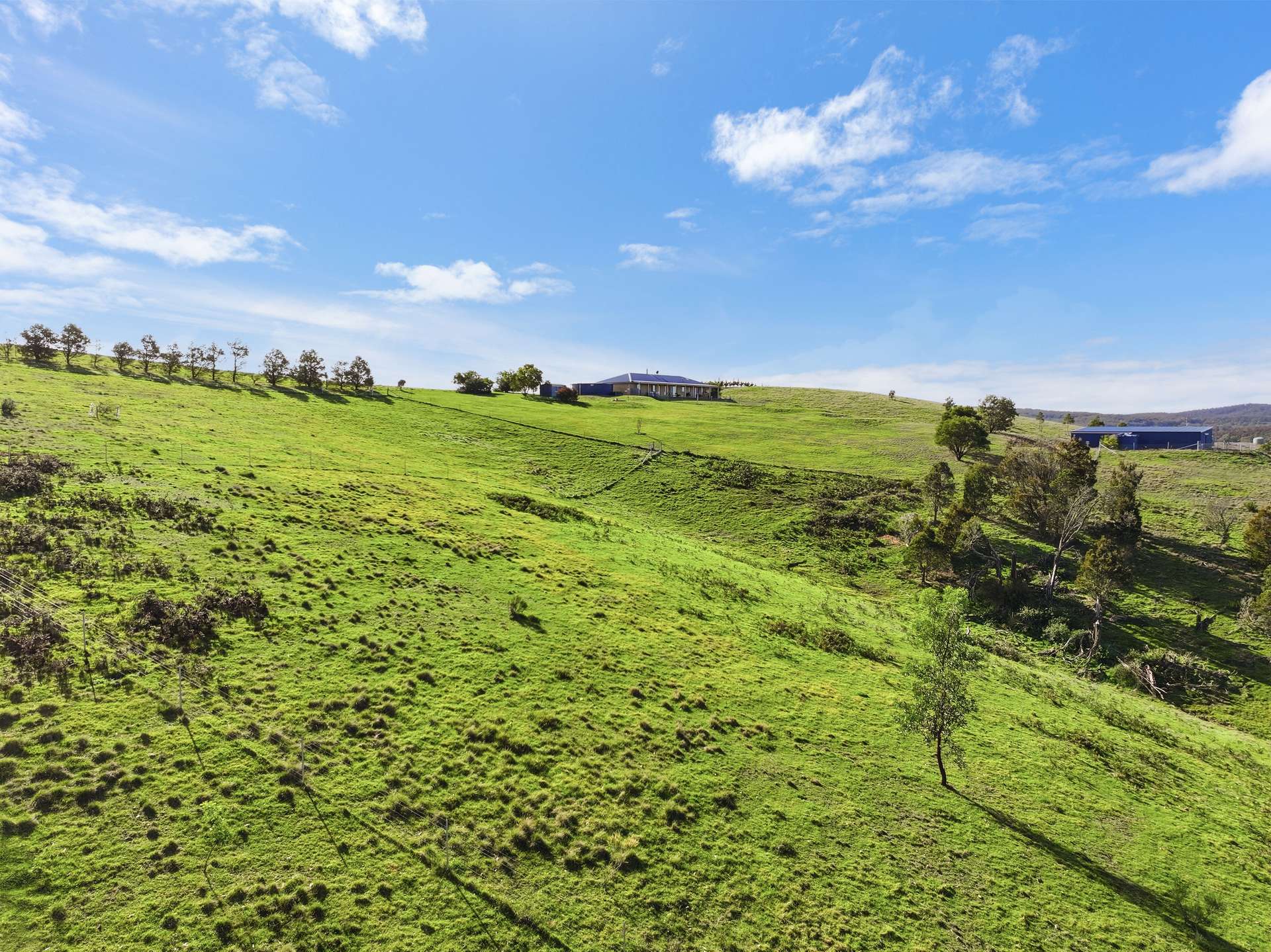 149 Lakeview Road, Tarago For Sale by Farmbuy.com - image 7