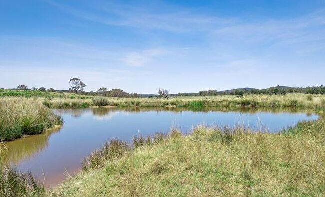 149 Lakeview Road, Tarago For Sale by Farmbuy.com - image 30