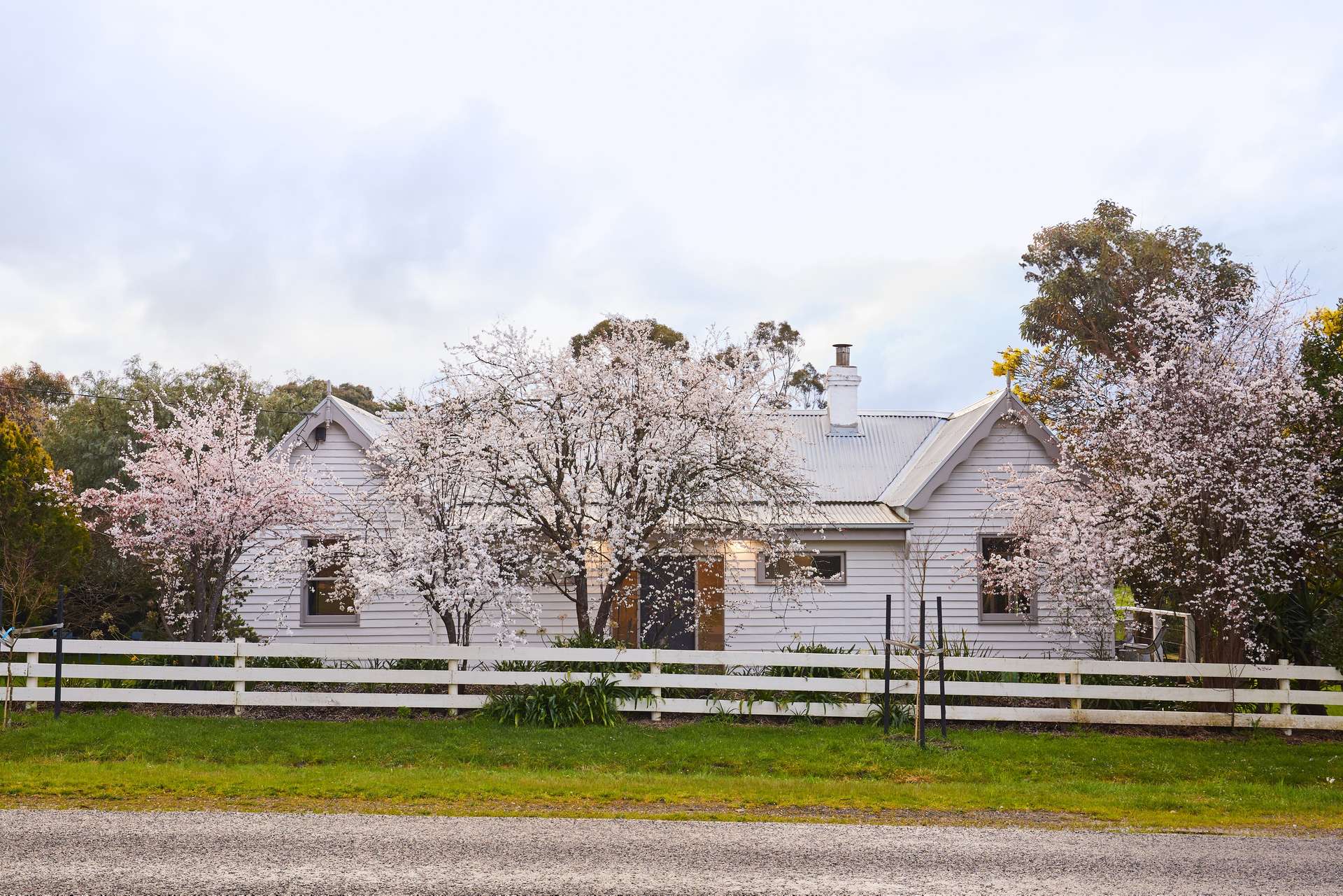 2250 Winchelsea-Deans Marsh Road, Deans Marsh For Sale by Farmbuy.com - image 25