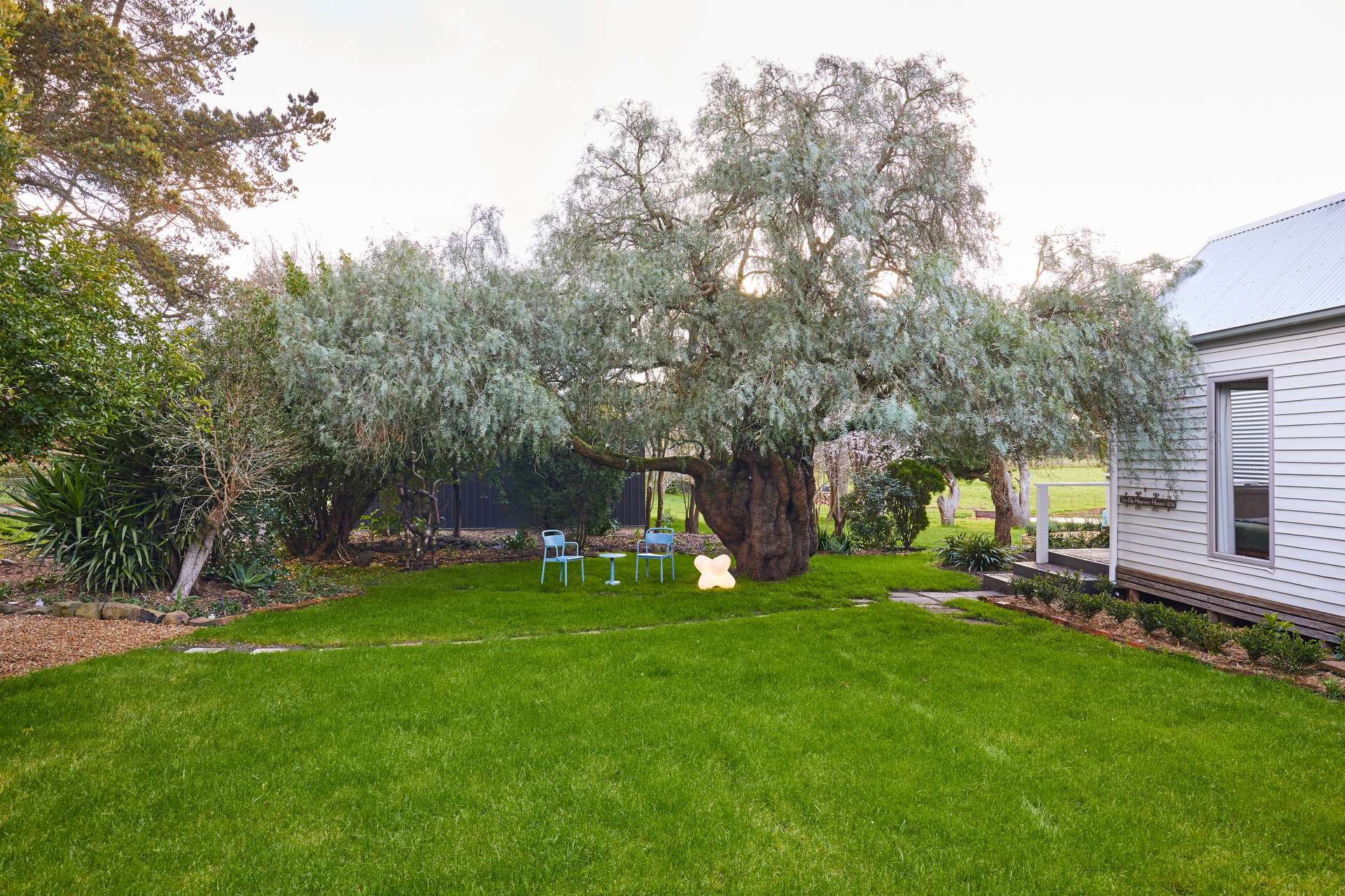 2250 Winchelsea-Deans Marsh Road, Deans Marsh For Sale by Farmbuy.com - image 24