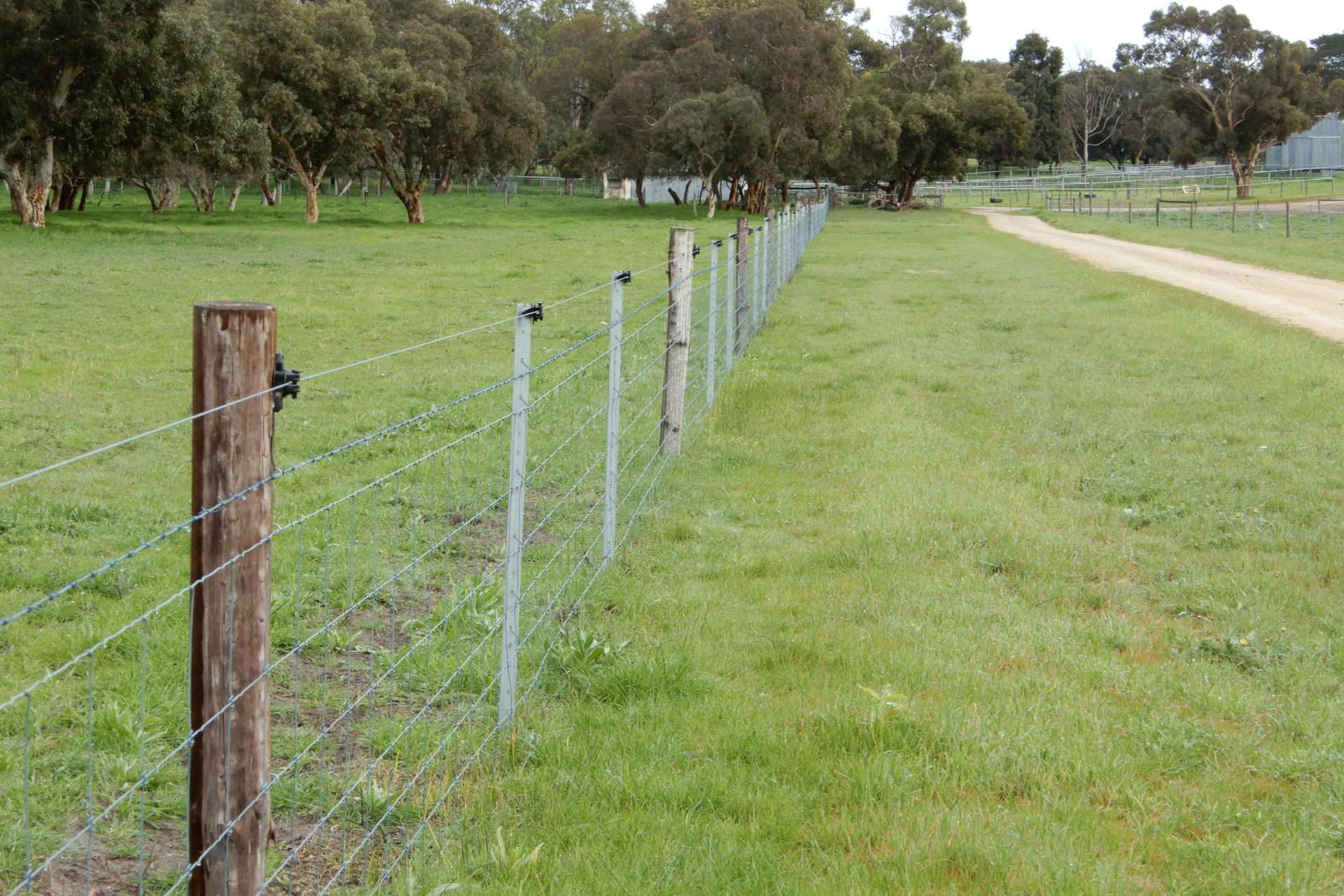 389 Nicholls Road, Keith For Sale by Farmbuy.com - image 13