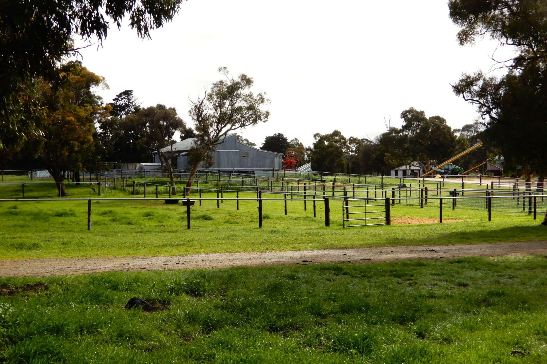 389 Nicholls Road, Keith For Sale by Farmbuy.com - image 2