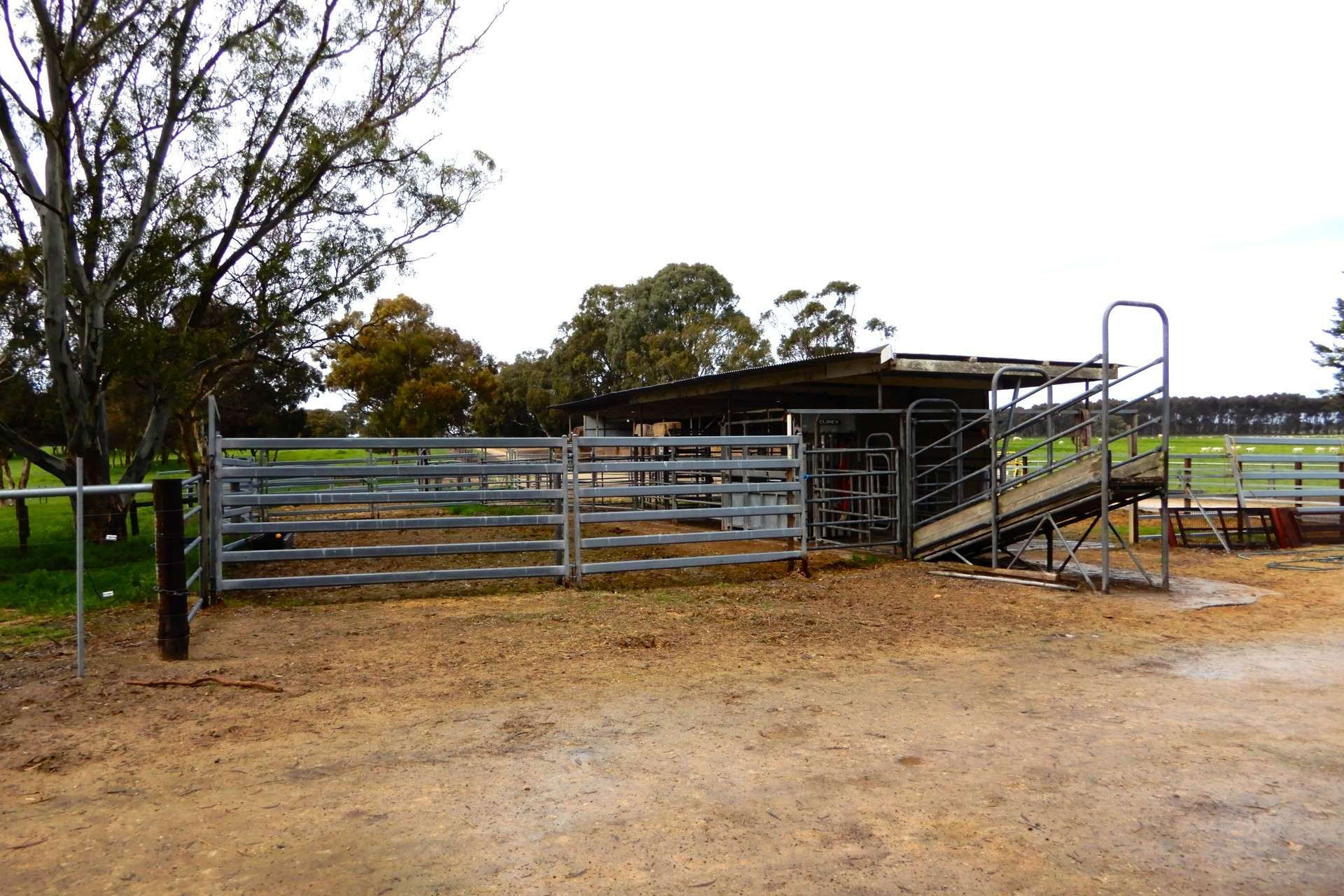 389 Nicholls Road, Keith For Sale by Farmbuy.com - image 11