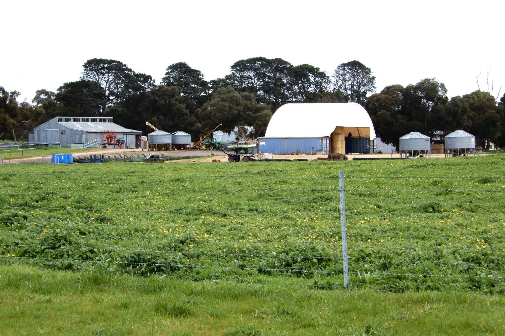 389 Nicholls Road, Keith For Sale by Farmbuy.com - image 6