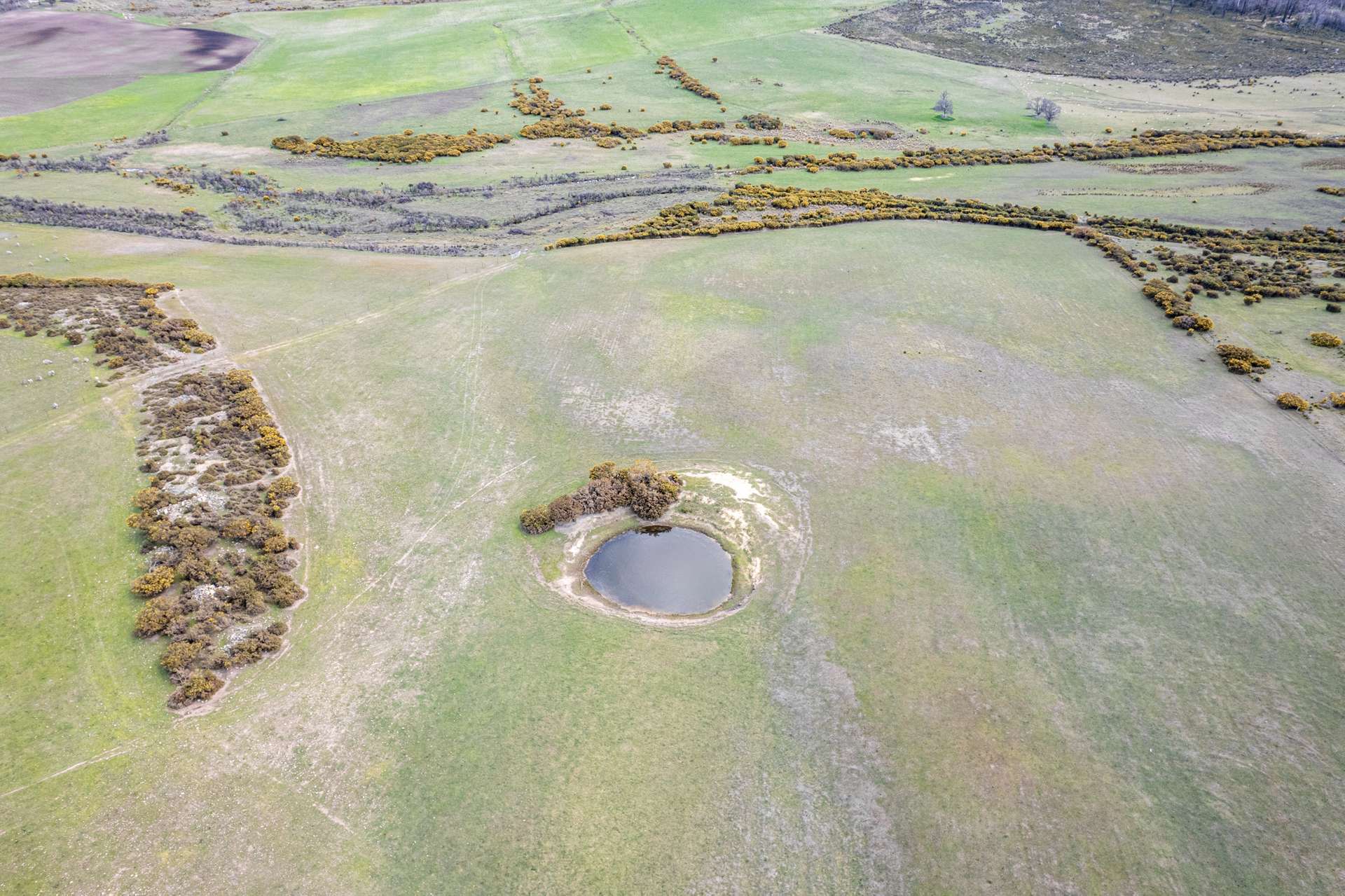 'East Dundee' Stonehenge Road, Whitefoord For Sale by Farmbuy.com - image 26