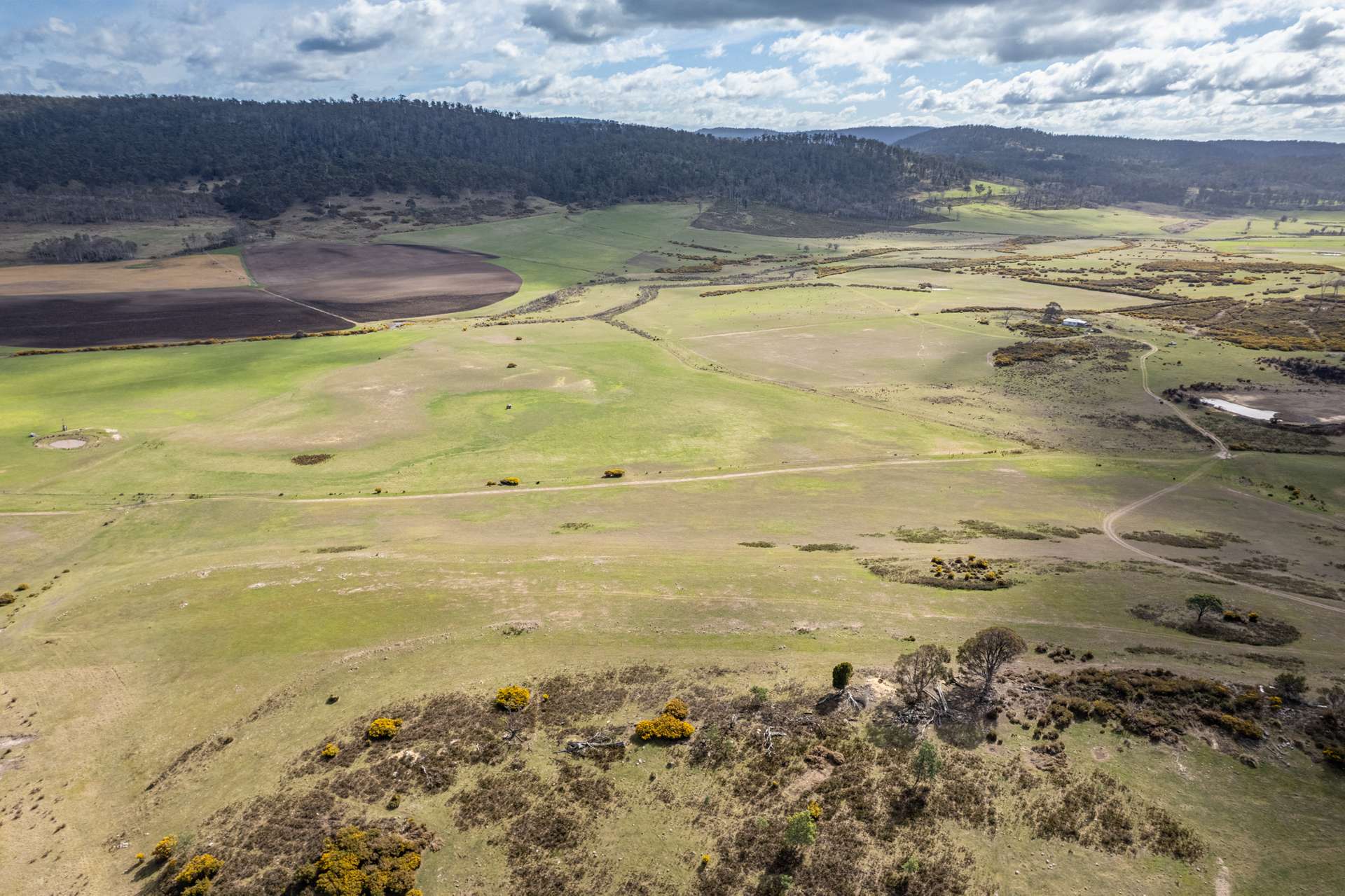 'East Dundee' Stonehenge Road, Whitefoord For Sale by Farmbuy.com - image 22