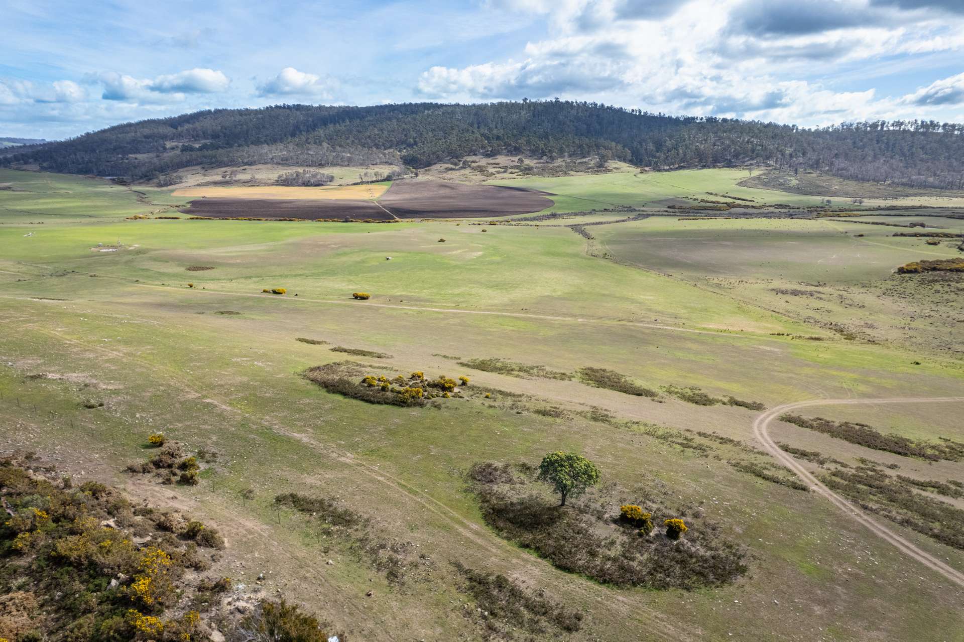 'East Dundee' Stonehenge Road, Whitefoord For Sale by Farmbuy.com - image 25