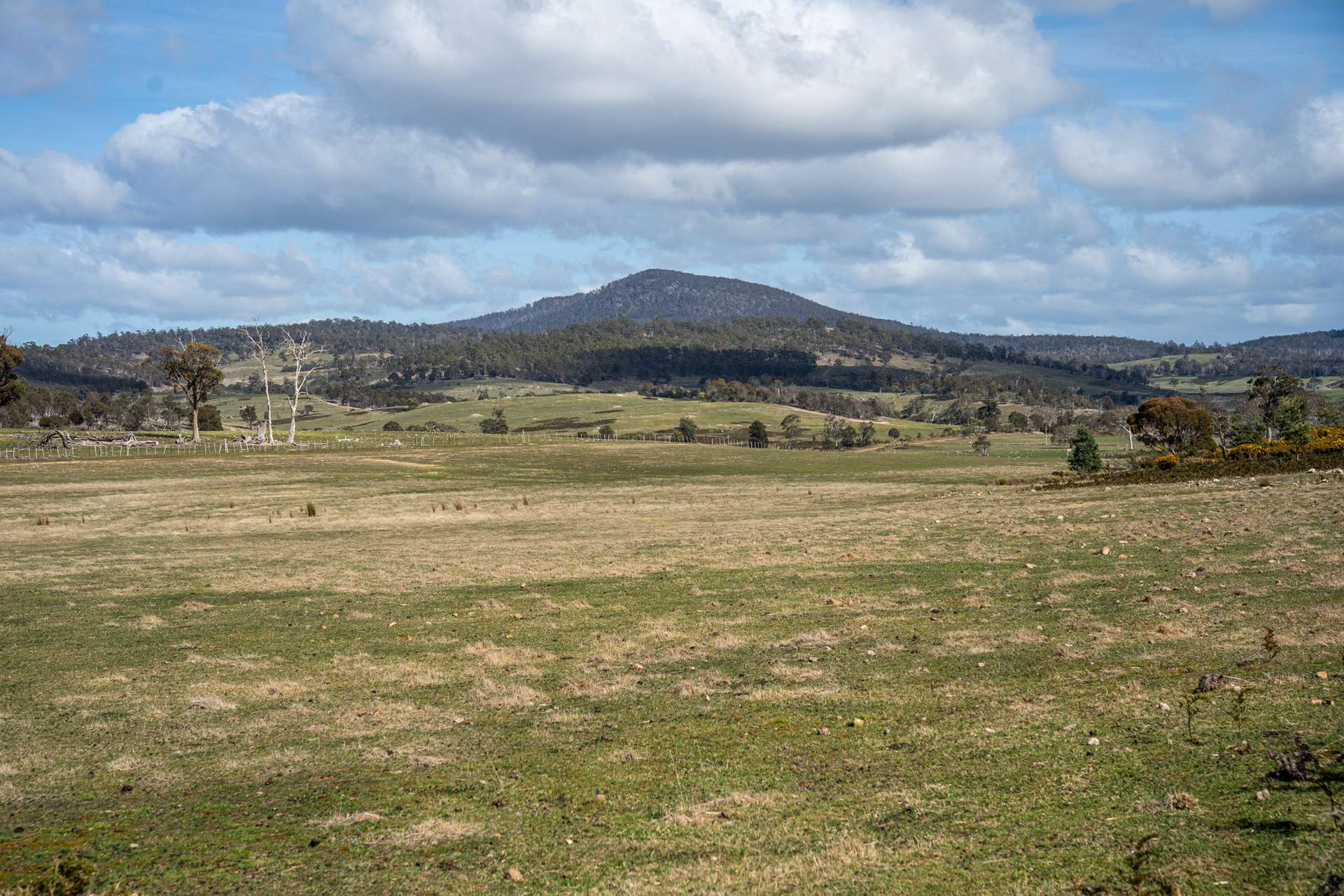 'East Dundee' Stonehenge Road, Whitefoord For Sale by Farmbuy.com - image 14
