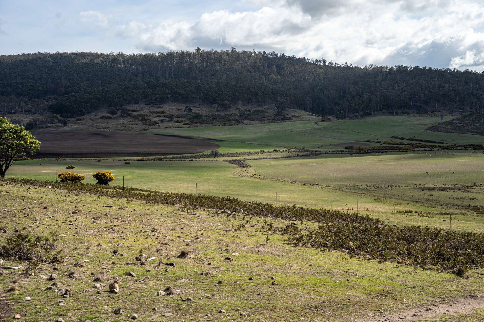 'East Dundee' Stonehenge Road, Whitefoord For Sale by Farmbuy.com - image 12