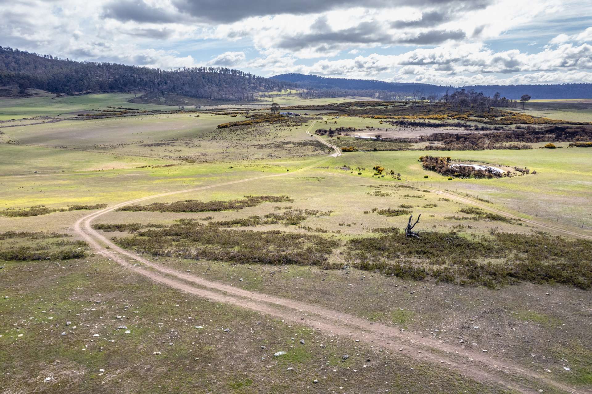 'East Dundee' Stonehenge Road, Whitefoord For Sale by Farmbuy.com - image 23