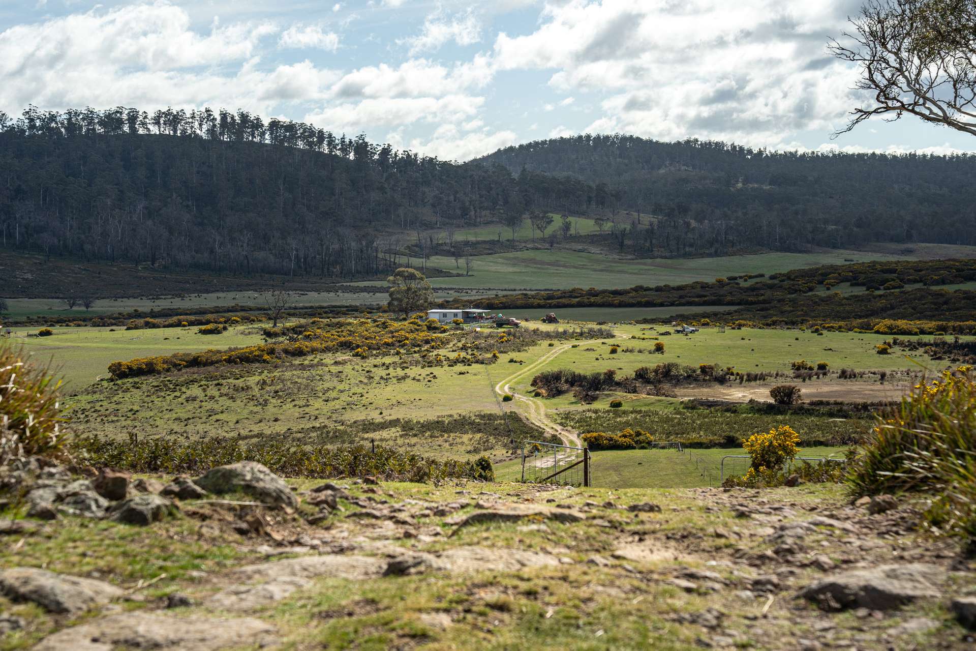 'East Dundee' Stonehenge Road, Whitefoord For Sale by Farmbuy.com - image 13