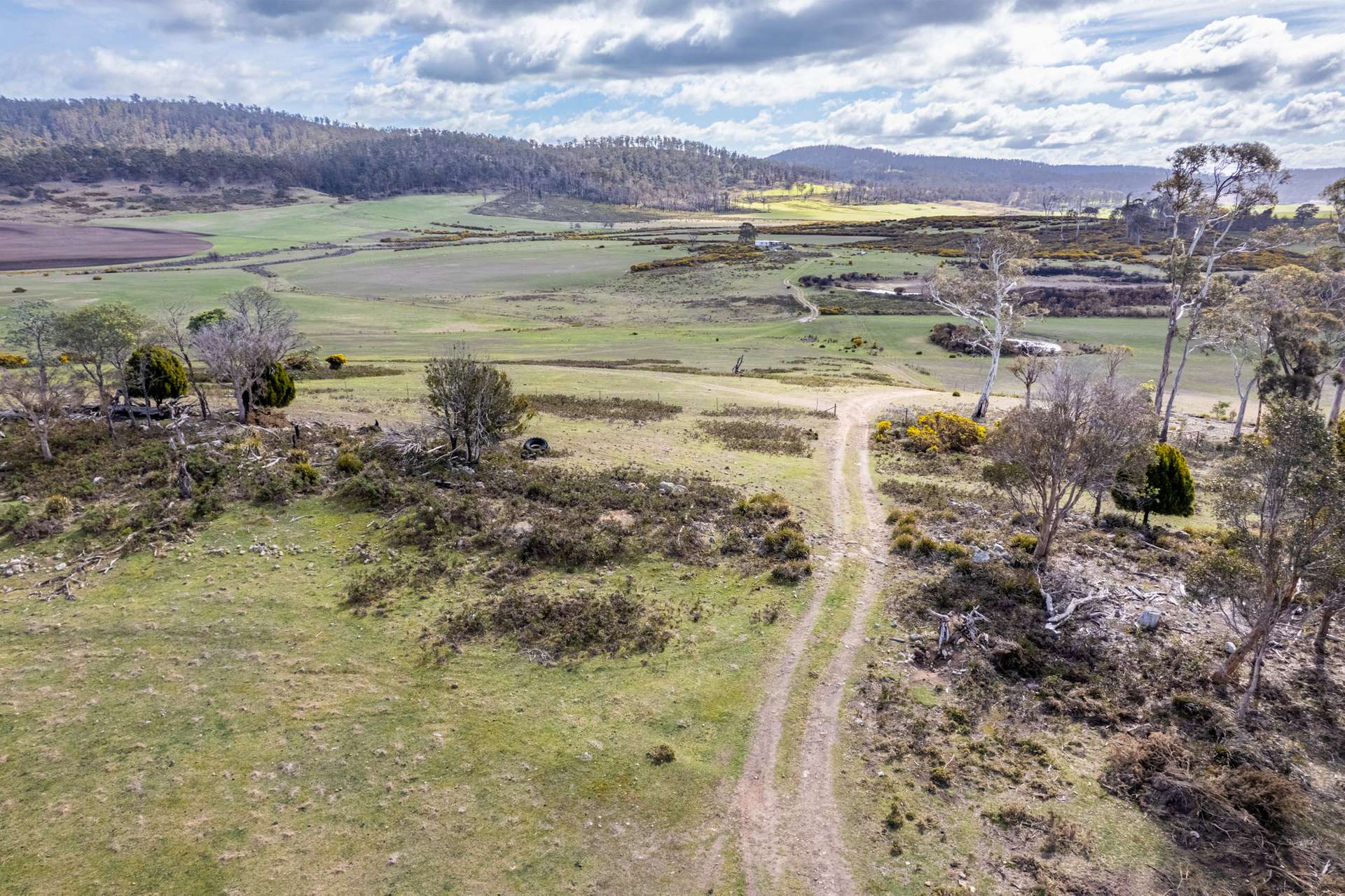'East Dundee' Stonehenge Road, Whitefoord For Sale by Farmbuy.com - image 15