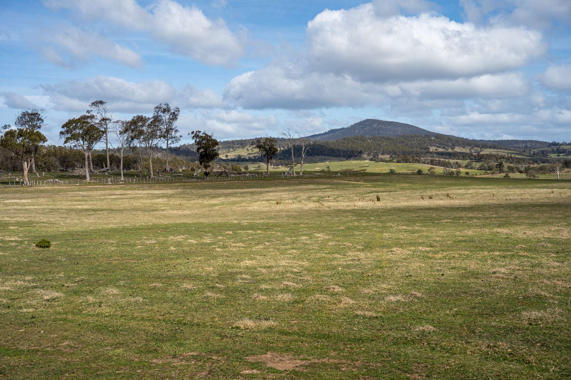 'East Dundee' Stonehenge Road, Whitefoord For Sale by Farmbuy.com - image 28