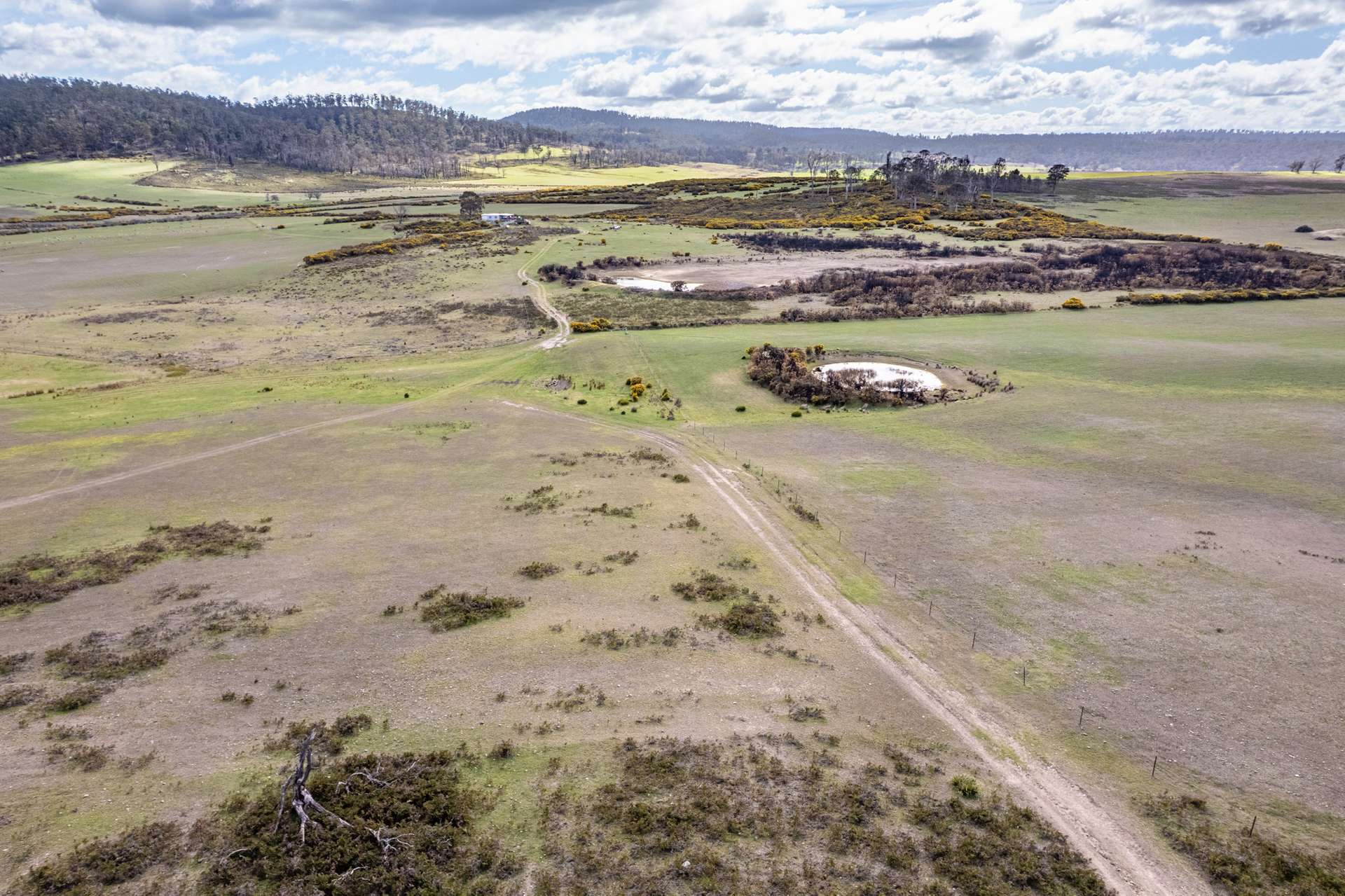 'East Dundee' Stonehenge Road, Whitefoord For Sale by Farmbuy.com - image 16