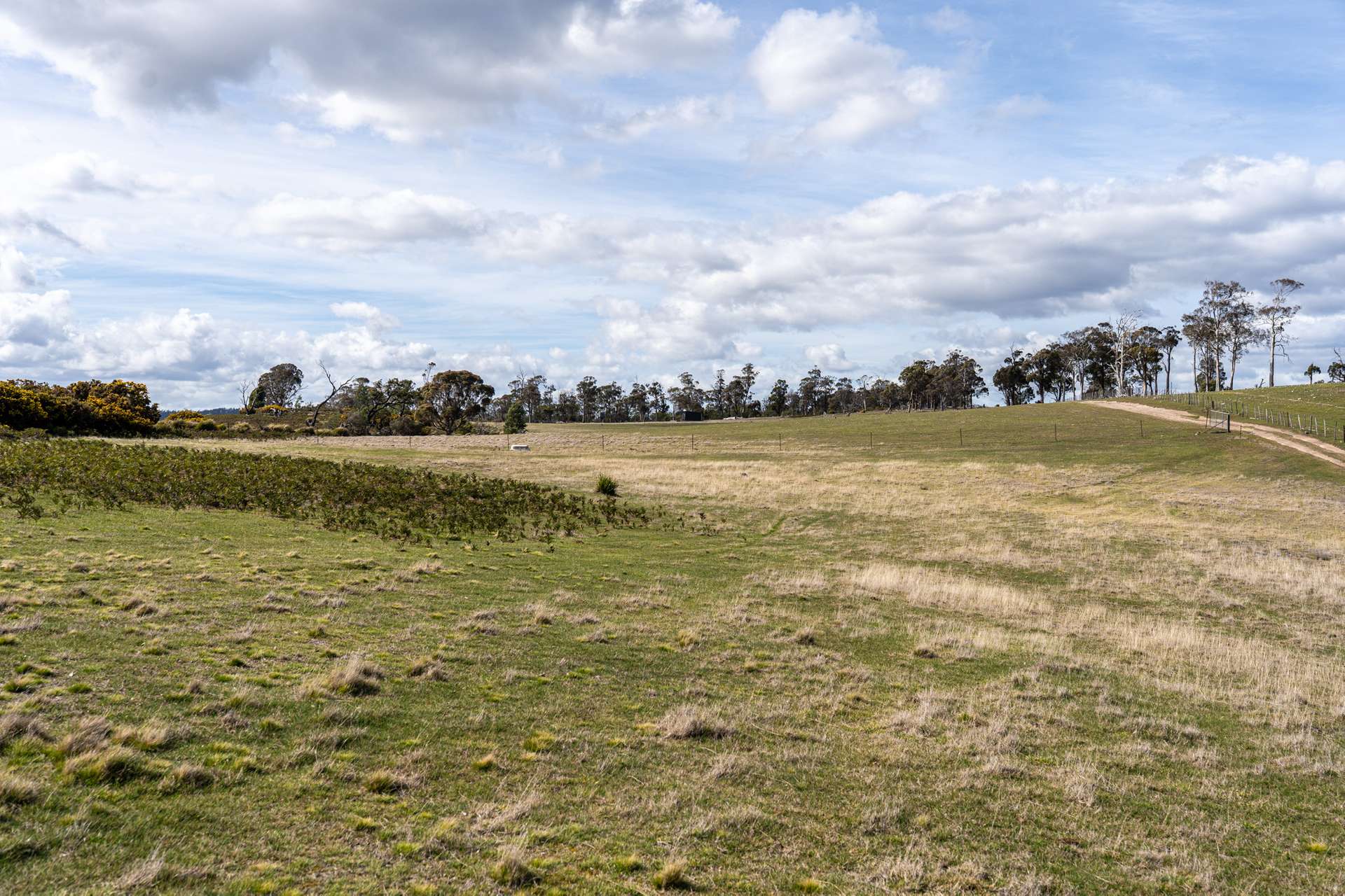 'East Dundee' Stonehenge Road, Whitefoord For Sale by Farmbuy.com - image 11
