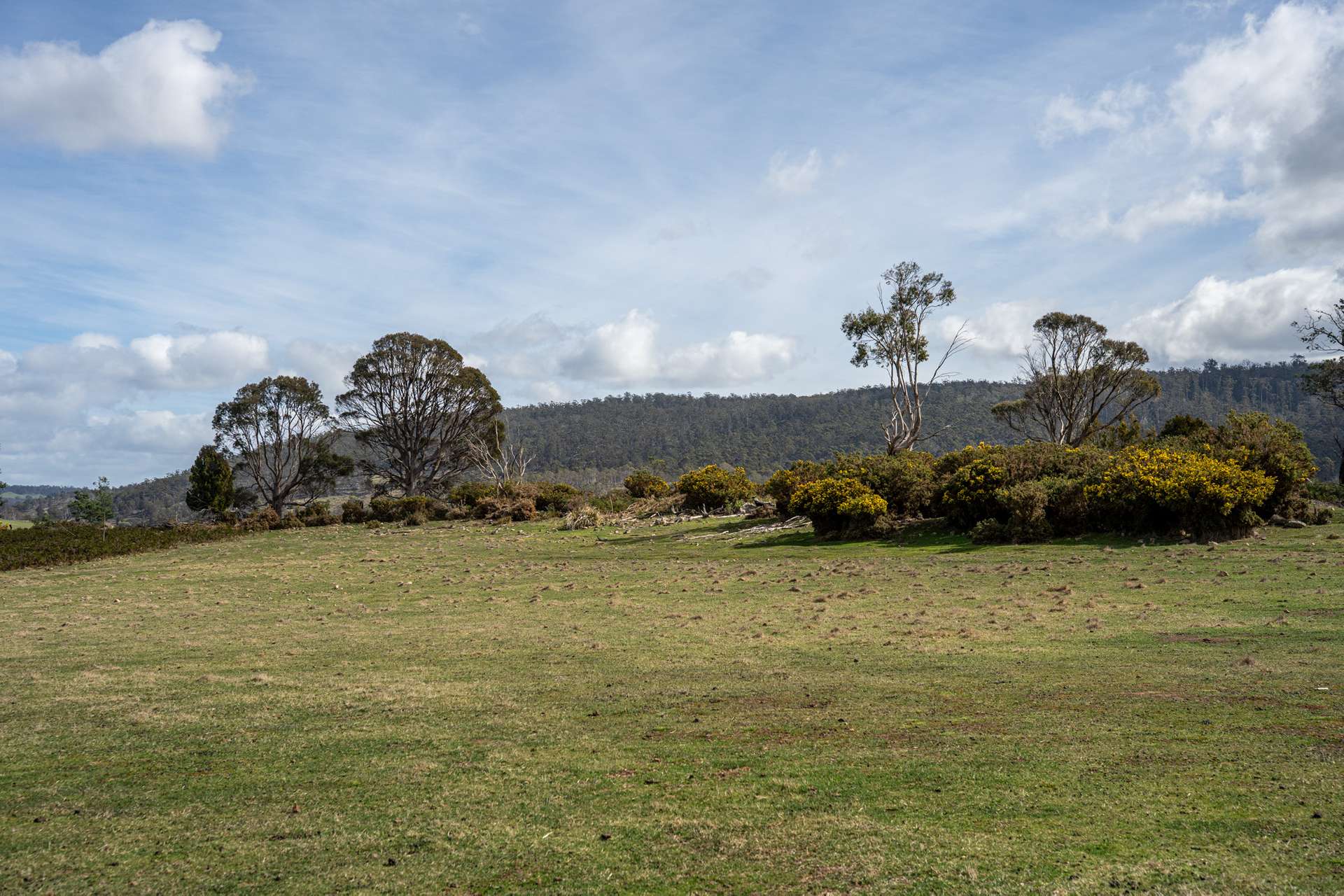 'East Dundee' Stonehenge Road, Whitefoord For Sale by Farmbuy.com - image 27