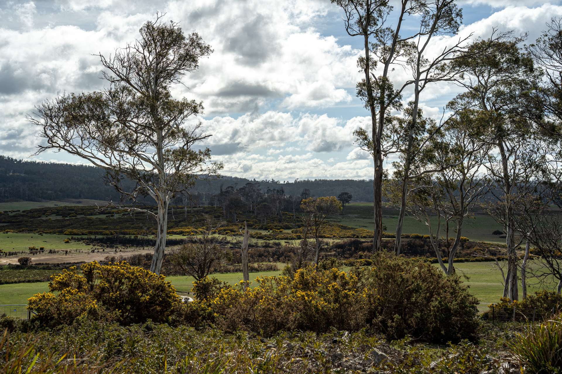 'East Dundee' Stonehenge Road, Whitefoord For Sale by Farmbuy.com - image 4