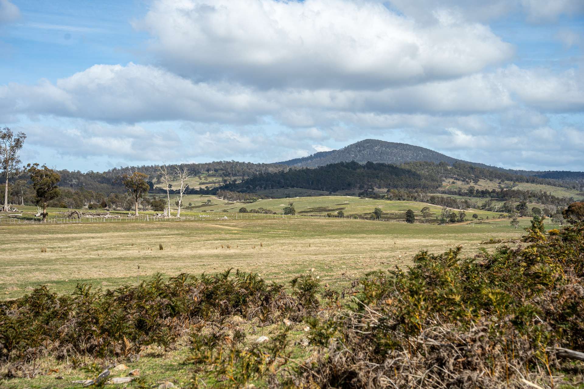 'East Dundee' Stonehenge Road, Whitefoord For Sale by Farmbuy.com - image 29