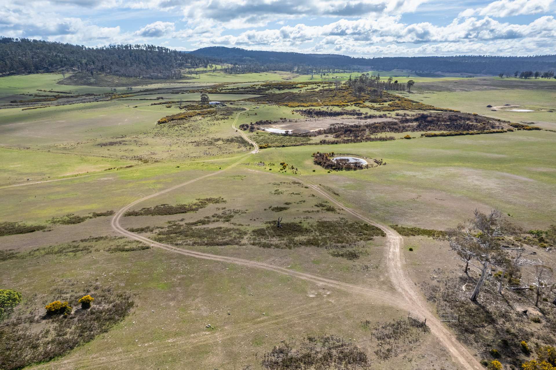 'East Dundee' Stonehenge Road, Whitefoord For Sale by Farmbuy.com - image 24