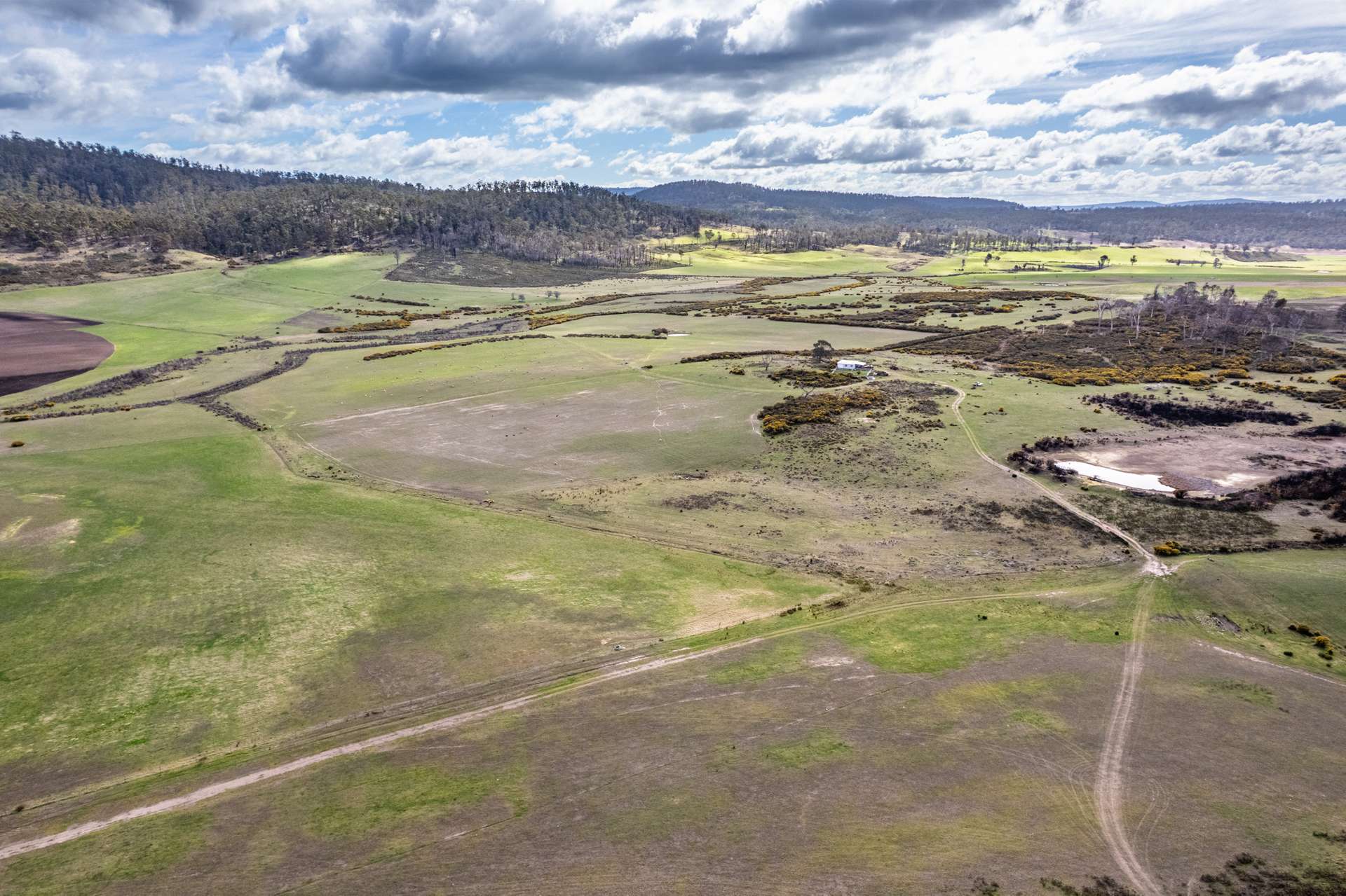 'East Dundee' Stonehenge Road, Whitefoord For Sale by Farmbuy.com - image 21