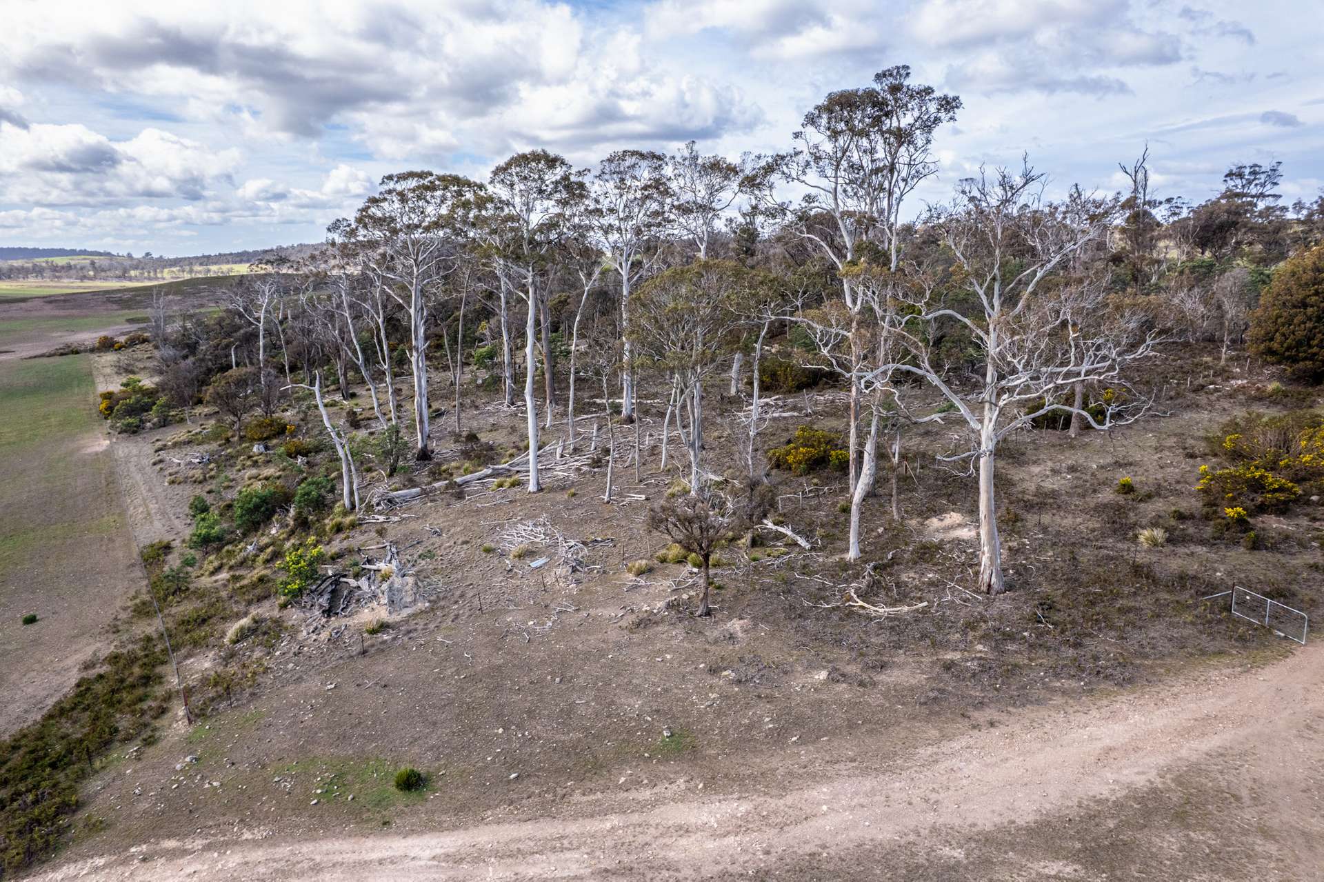 'East Dundee' Stonehenge Road, Whitefoord For Sale by Farmbuy.com - image 17