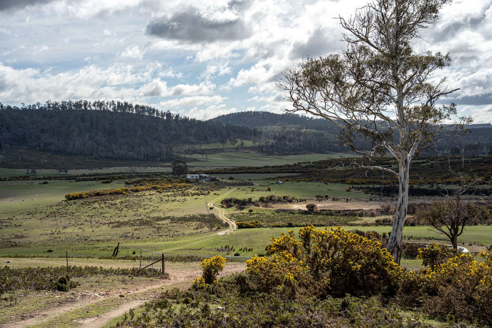 'East Dundee' Stonehenge Road, Whitefoord For Sale by Farmbuy.com - image 3