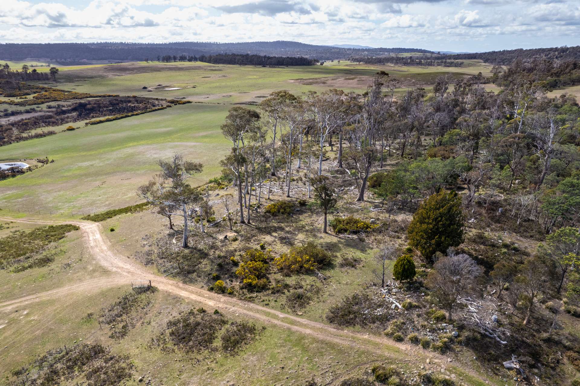'East Dundee' Stonehenge Road, Whitefoord For Sale by Farmbuy.com - image 18