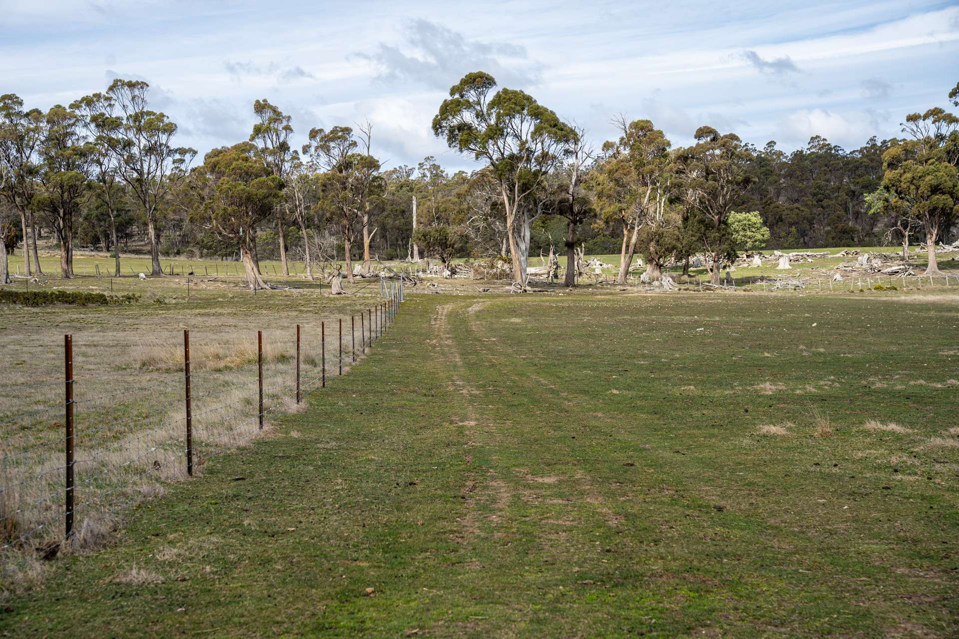 'East Dundee' Stonehenge Road, Whitefoord For Sale by Farmbuy.com - image 9