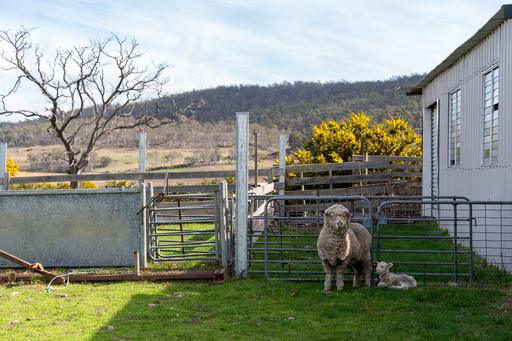 'East Dundee' Stonehenge Road, Whitefoord TAS 7120