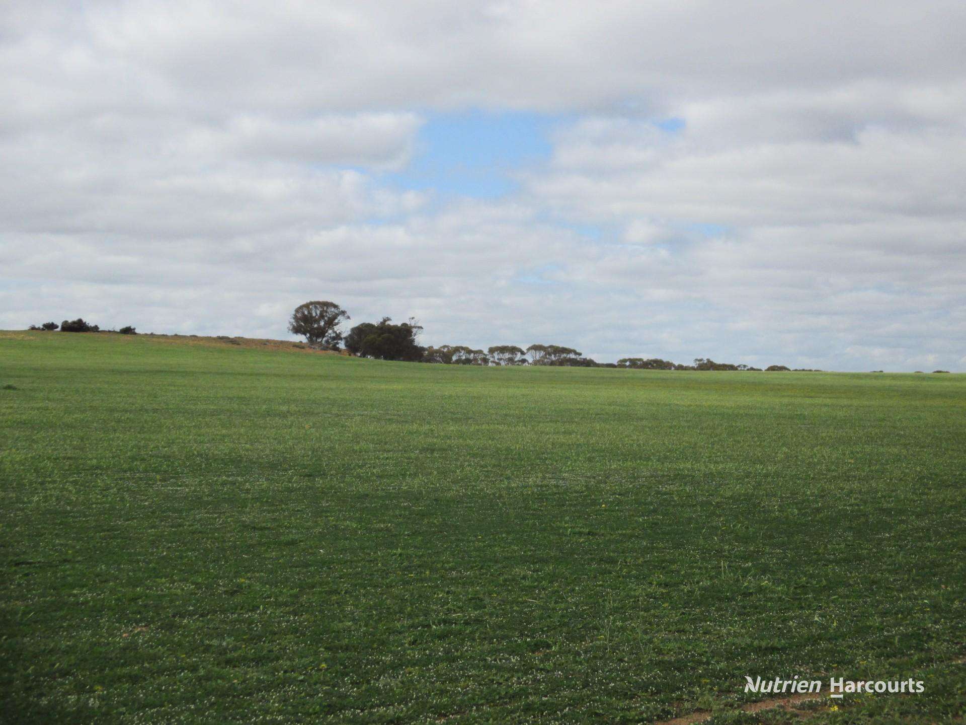 4333 Kulin Holt Rock Road, Pingaring For Sale by Farmbuy.com - image 3