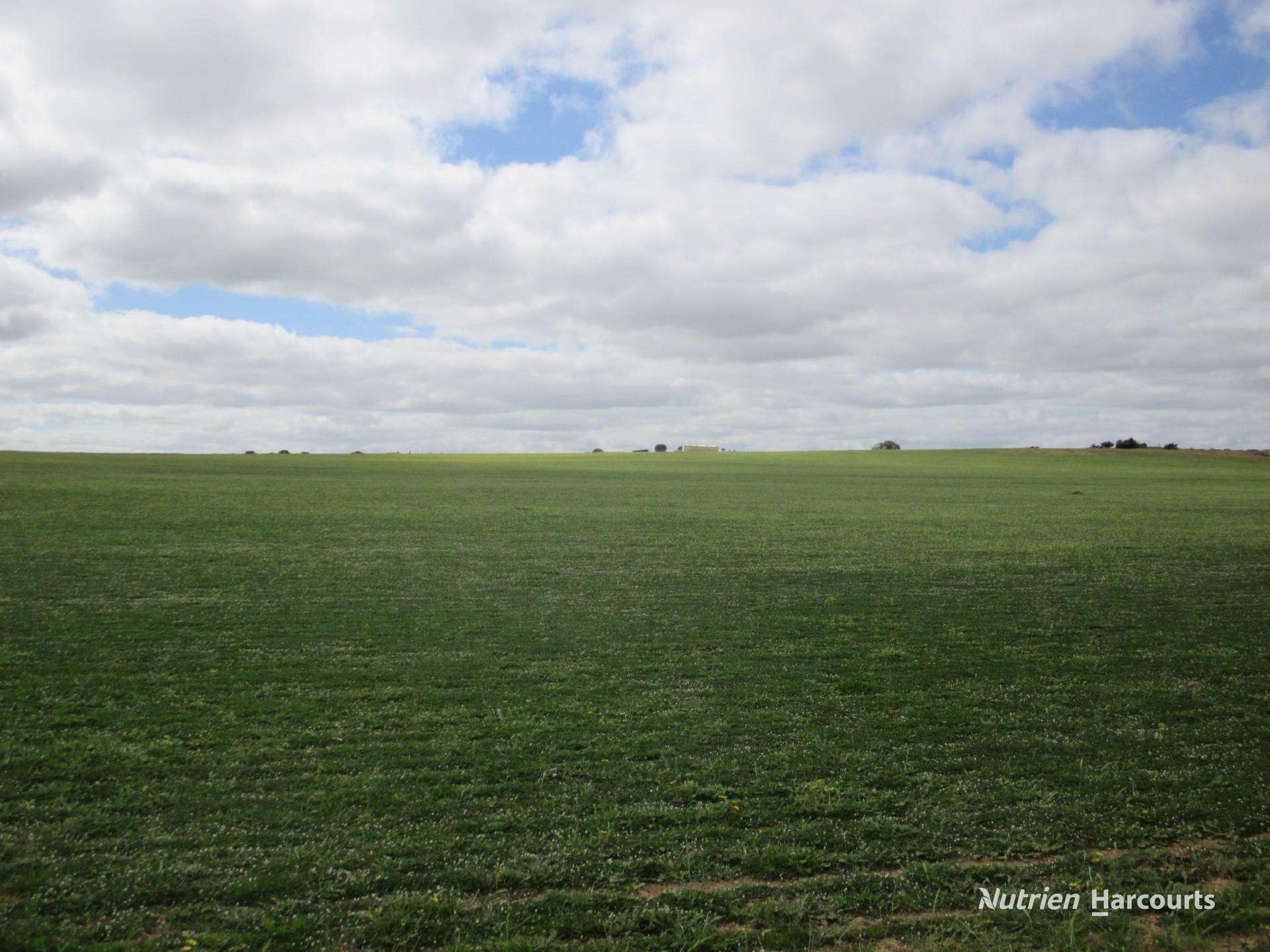 4333 Kulin Holt Rock Road, Pingaring For Sale by Farmbuy.com - image 4